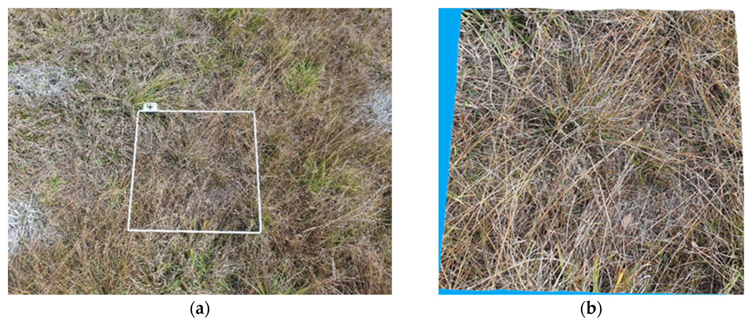 Agriengineering 05 00066 g002