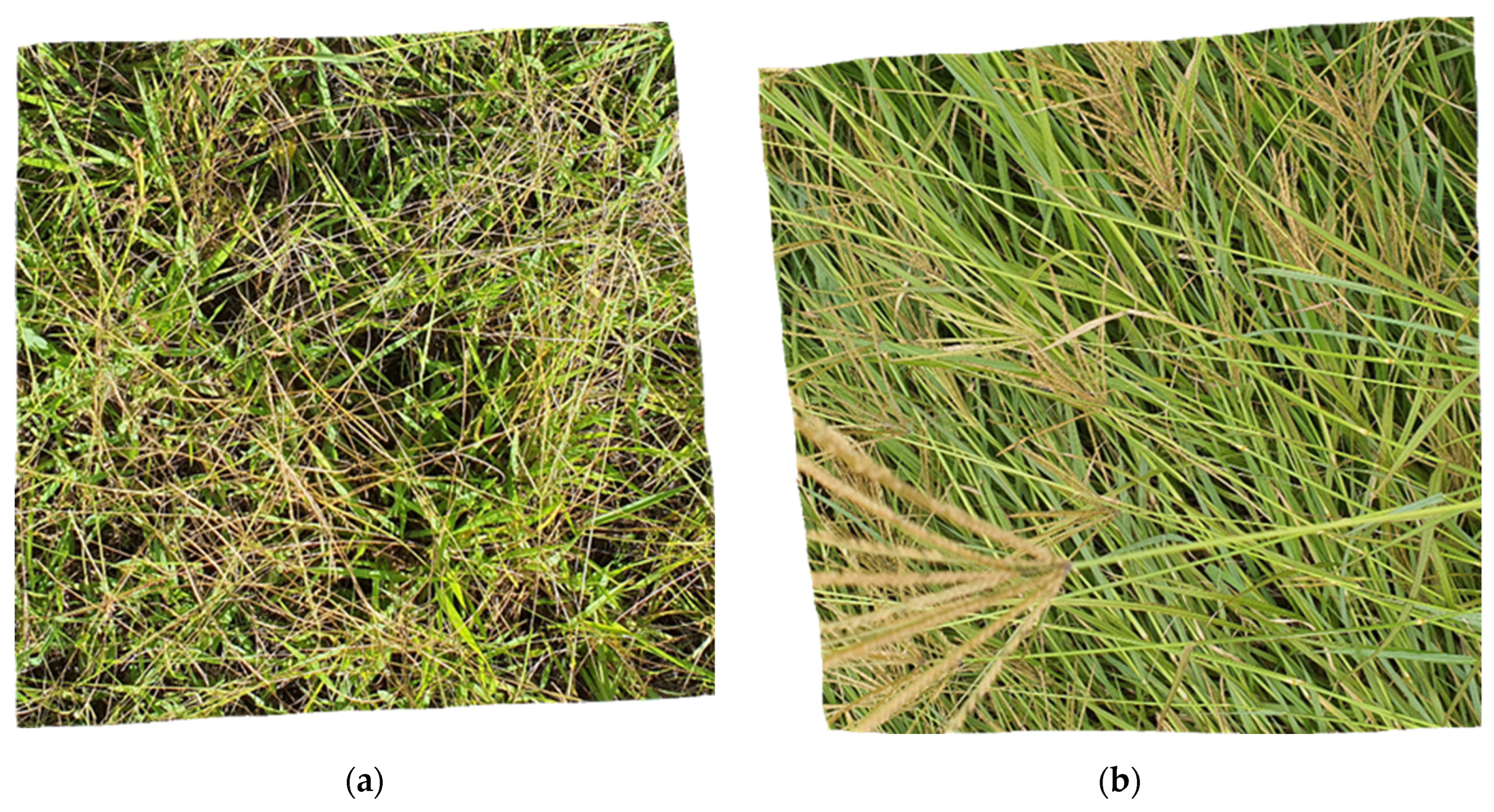 Agriengineering 05 00066 g005