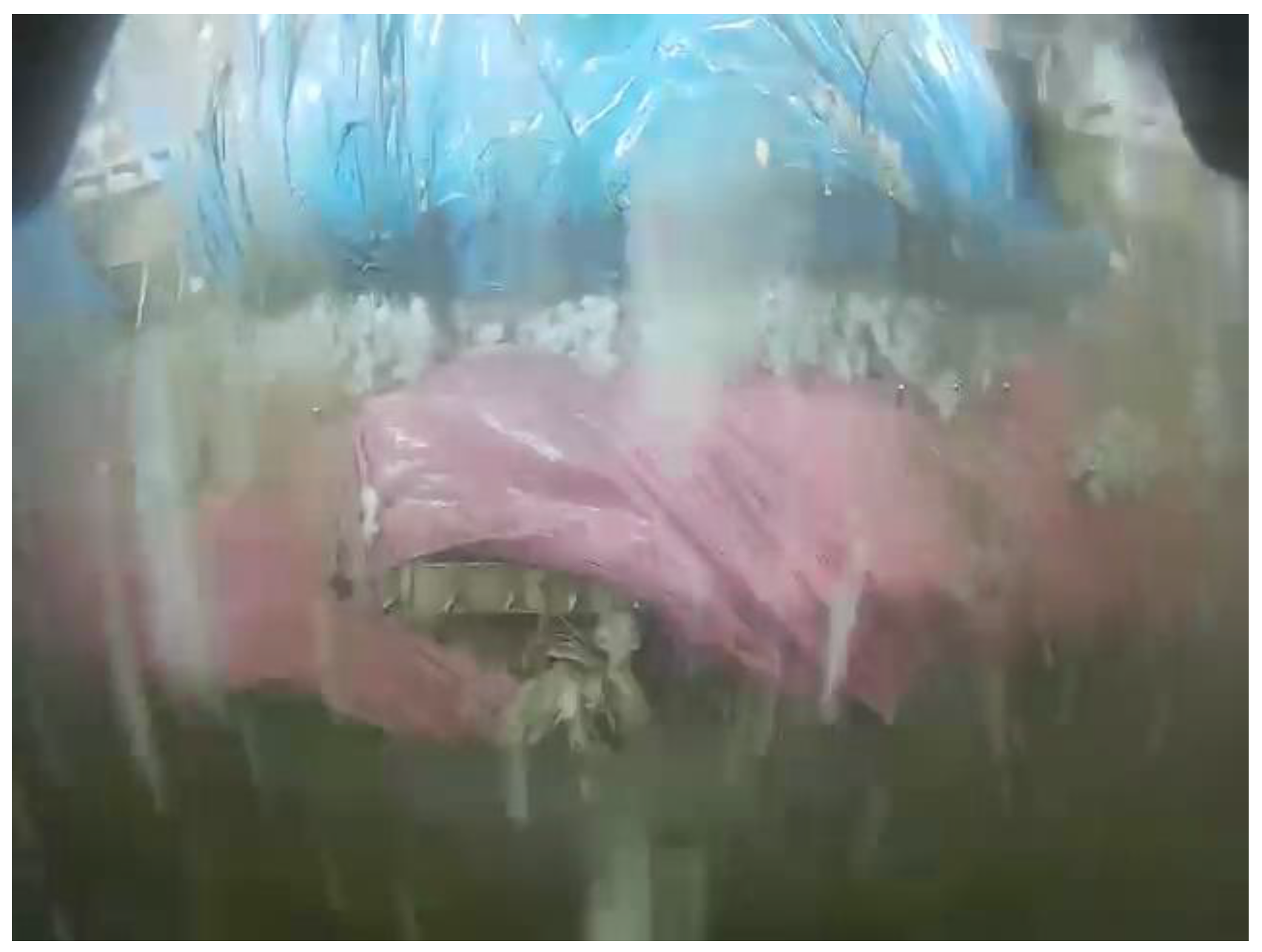 Agriengineering 05 00079 g002