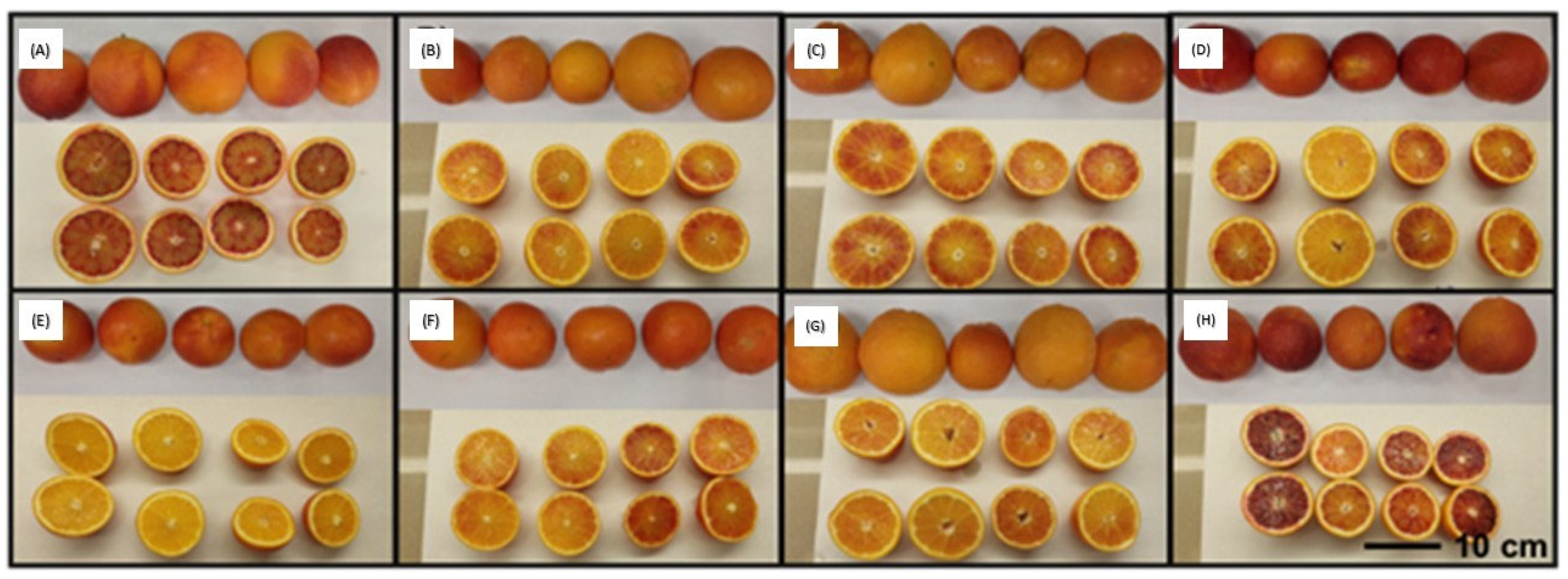 Agriengineering 05 00080 g001
