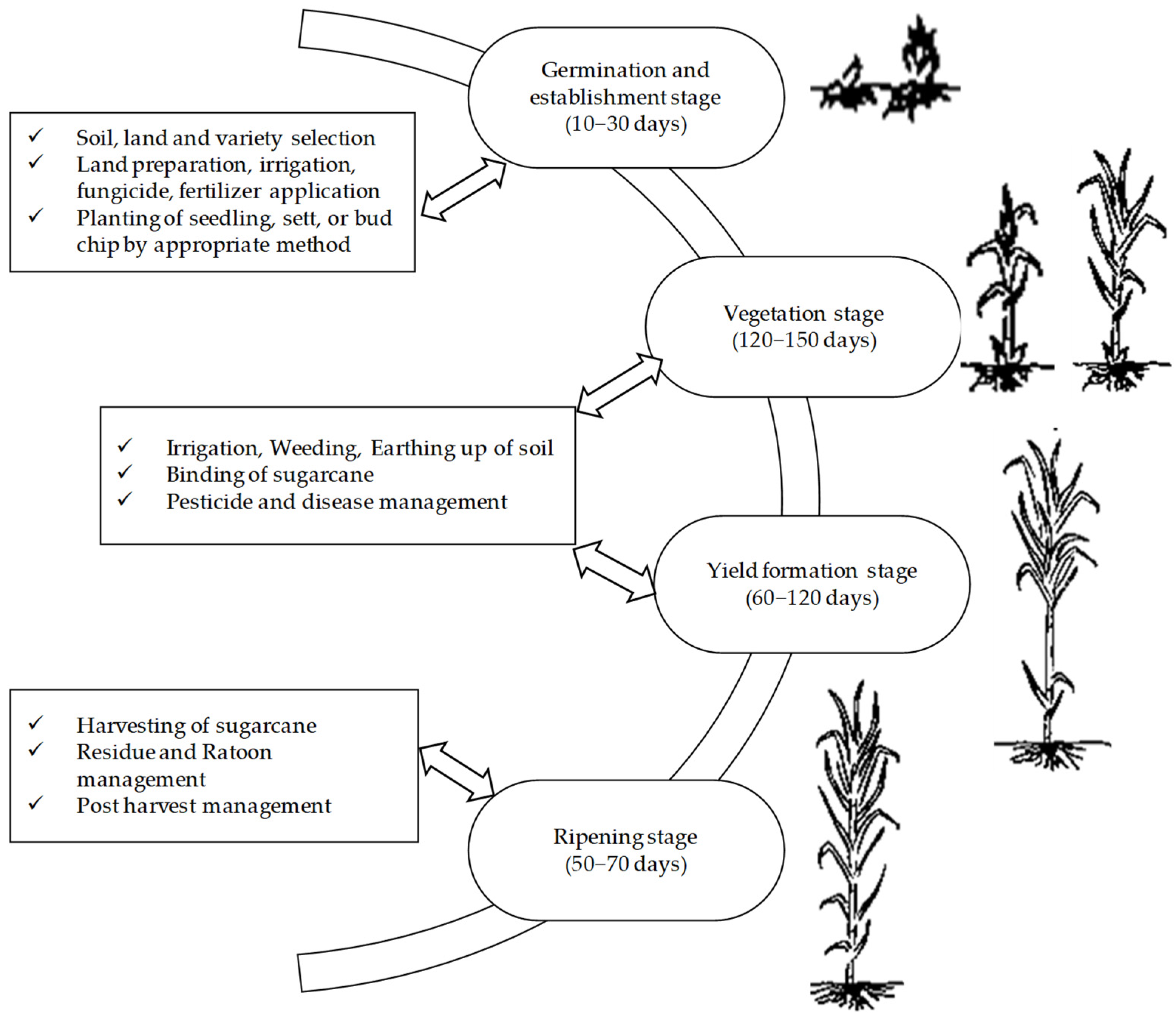 Agriengineering 05 00084 g003