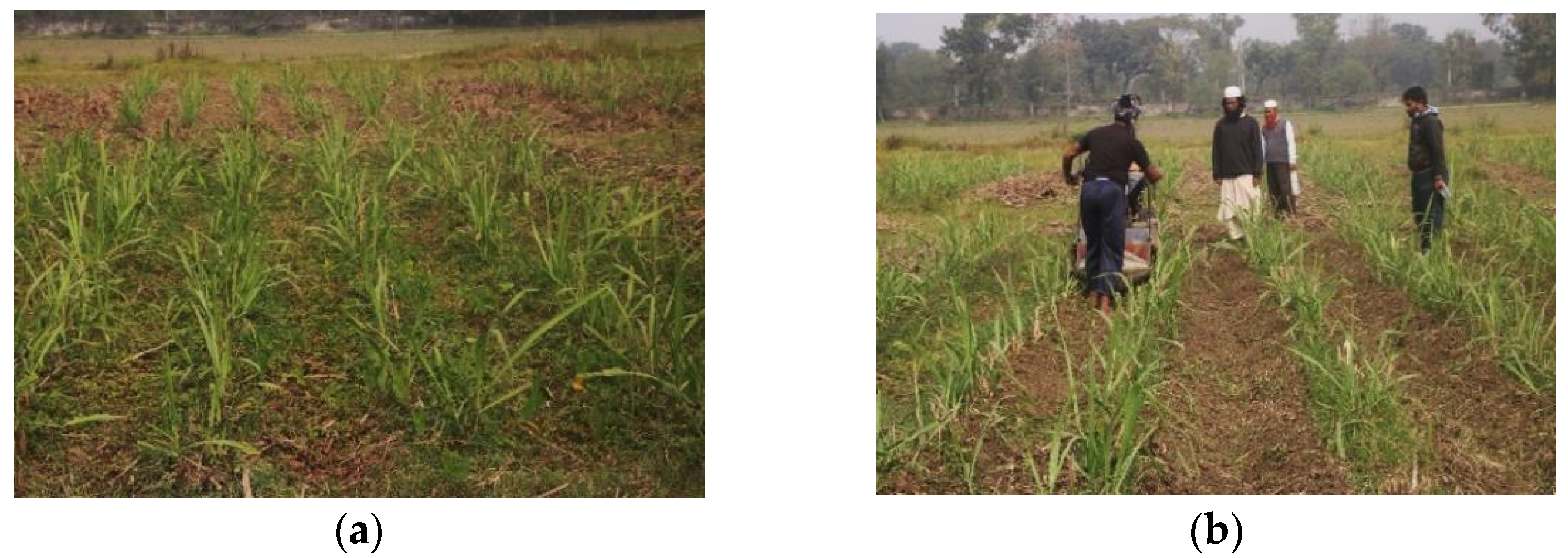 Agriengineering 05 00084 g010