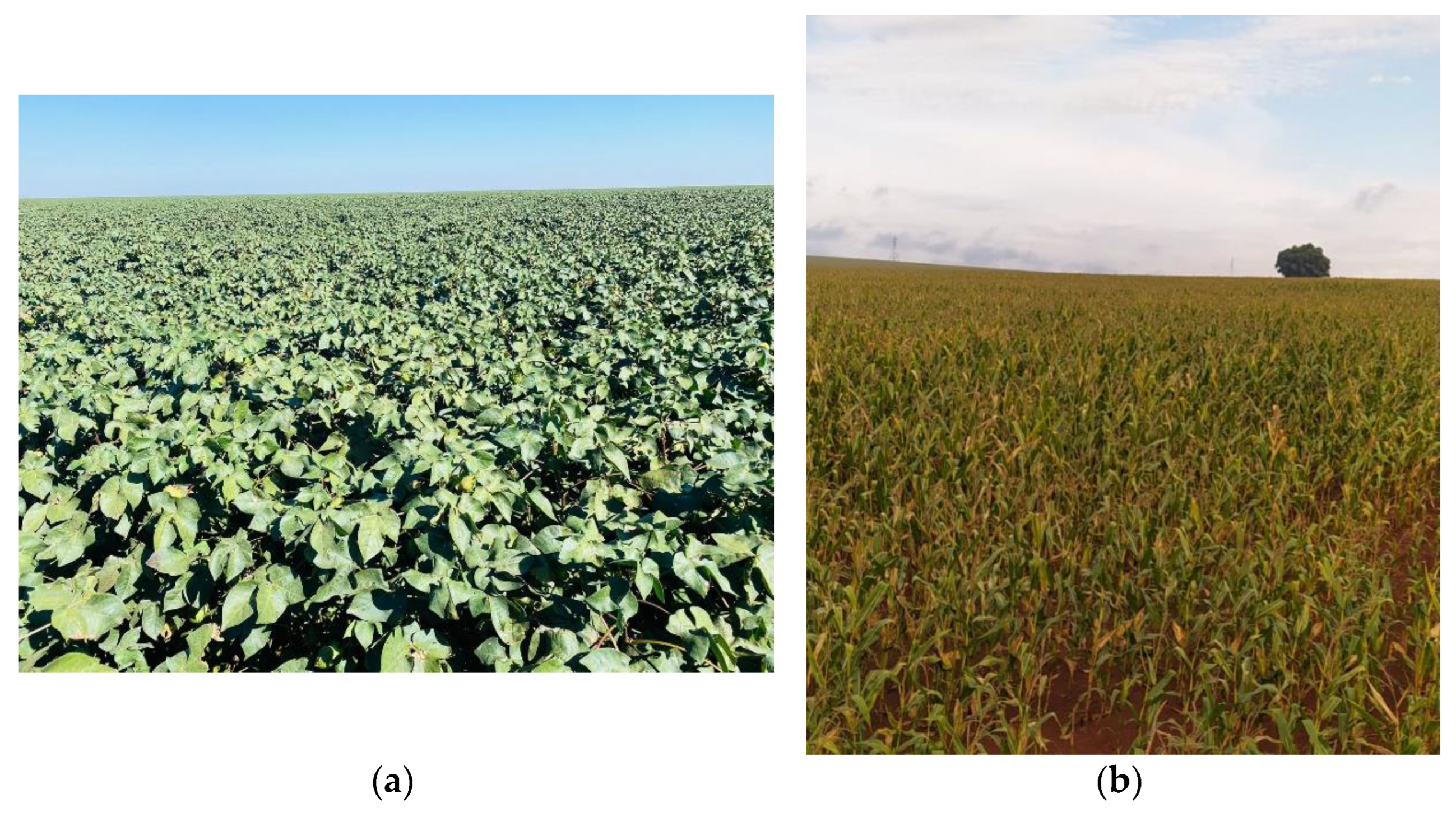 Agriengineering 05 00092 g002