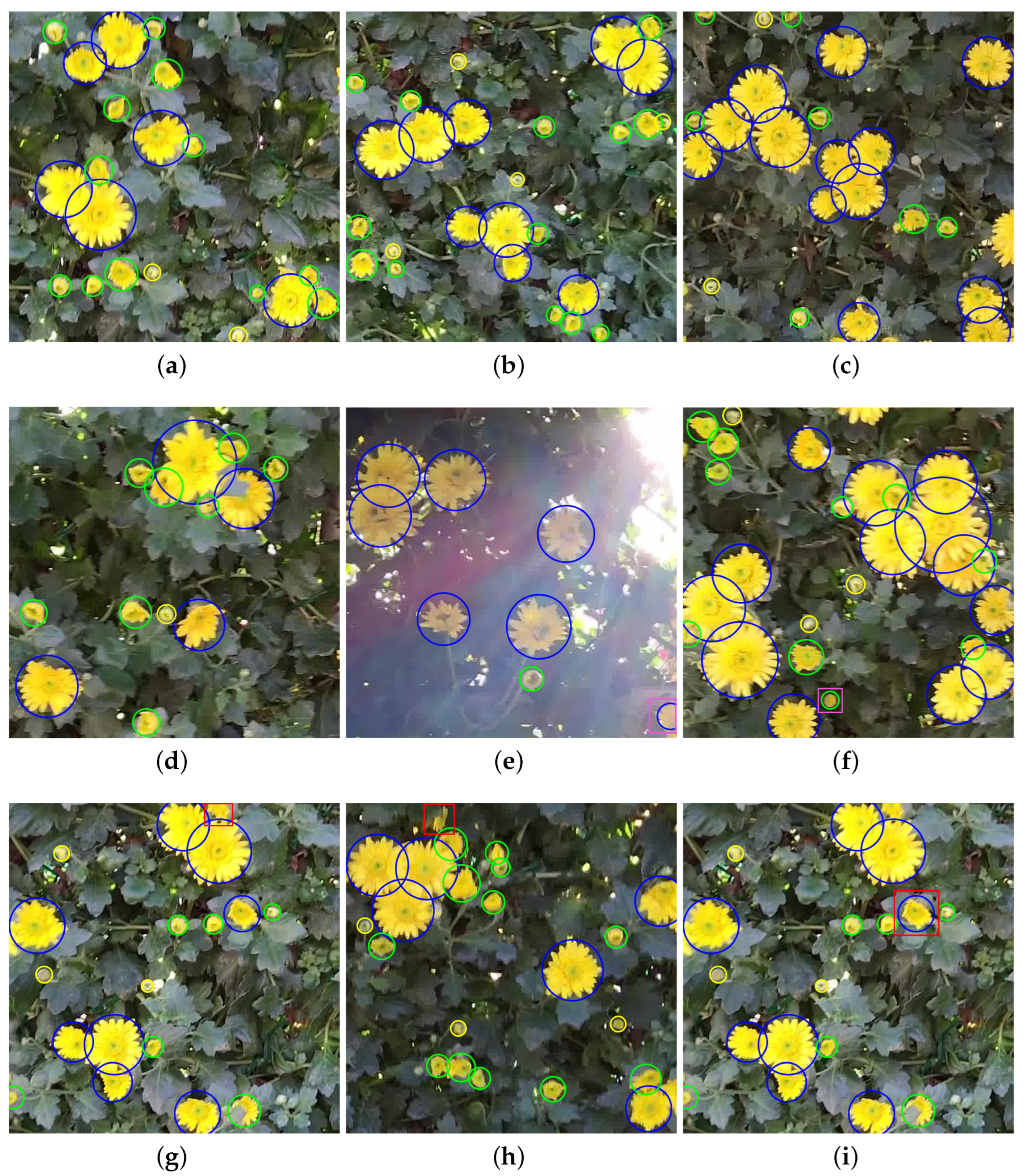 Agriengineering 05 00094 g007