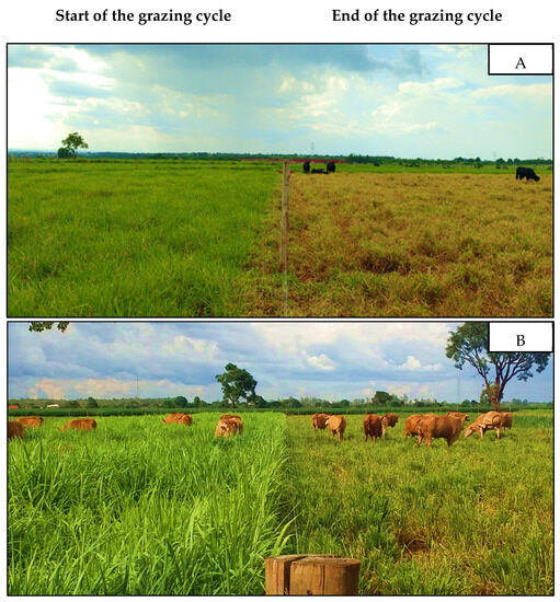 Agriengineering 05 00100 g001