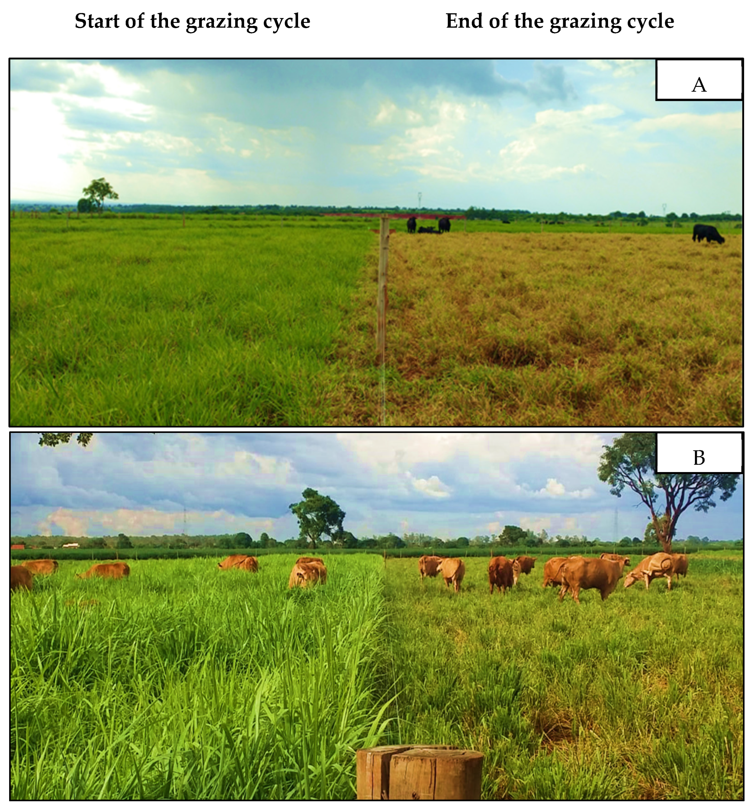 Agriengineering 05 00100 g001