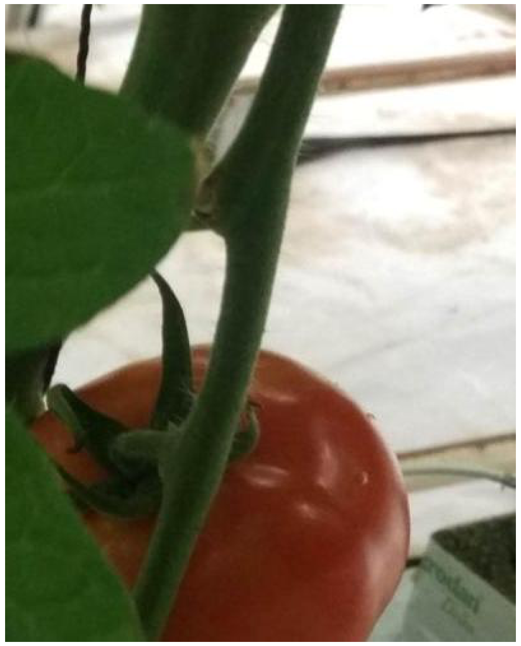 Agriengineering 05 00113 g002