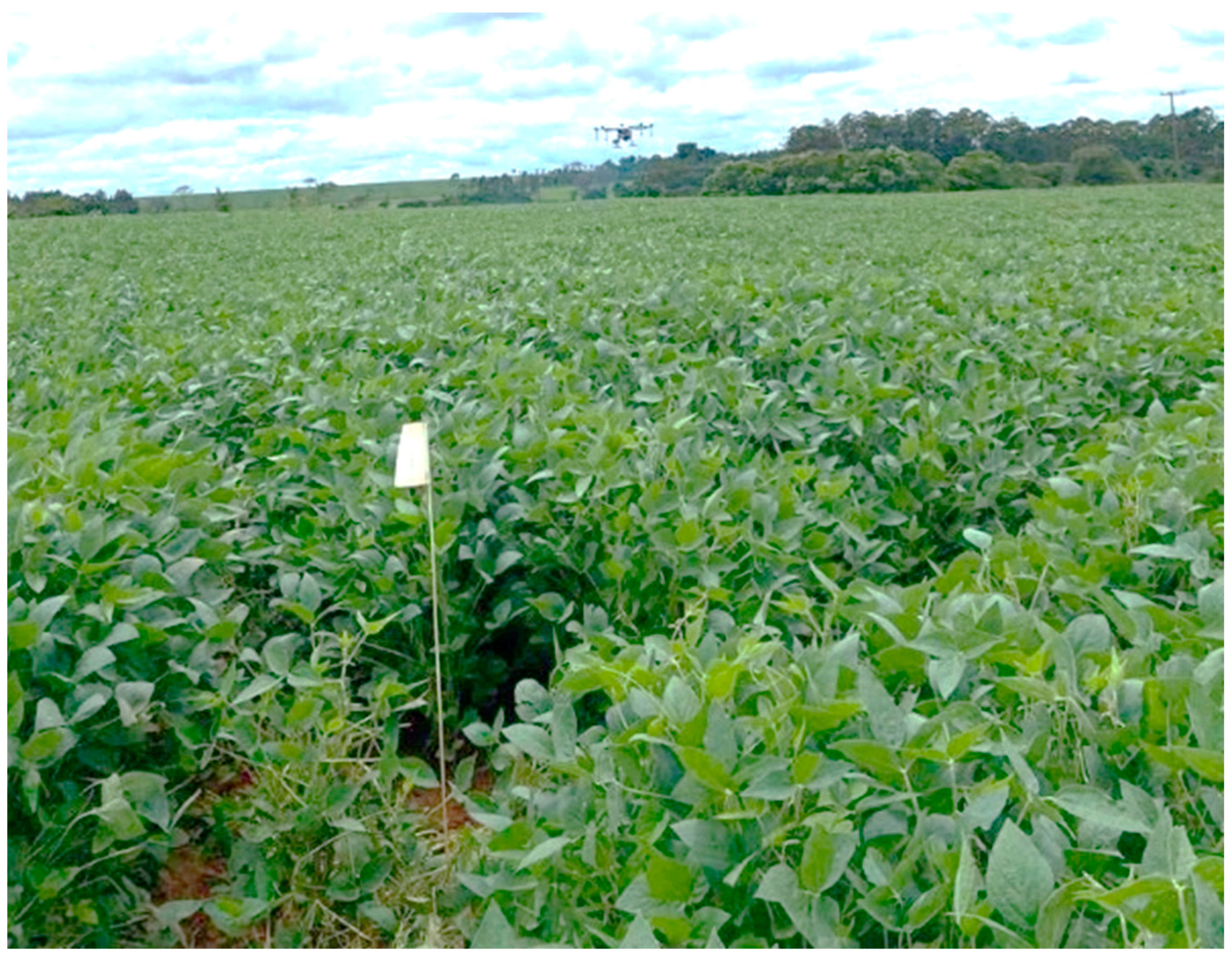 Agriengineering 05 00126 g001