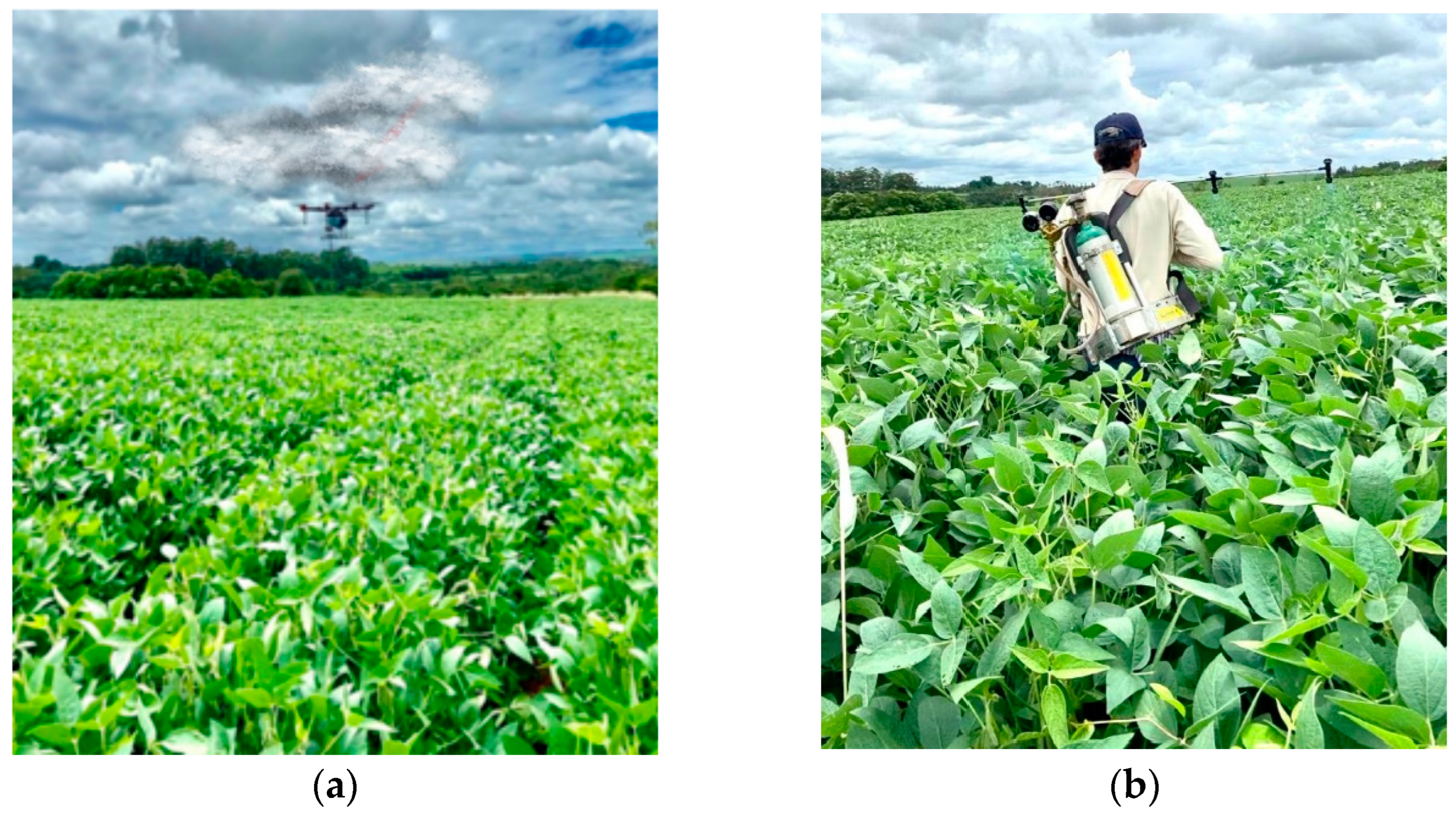 Agriengineering 05 00126 g003