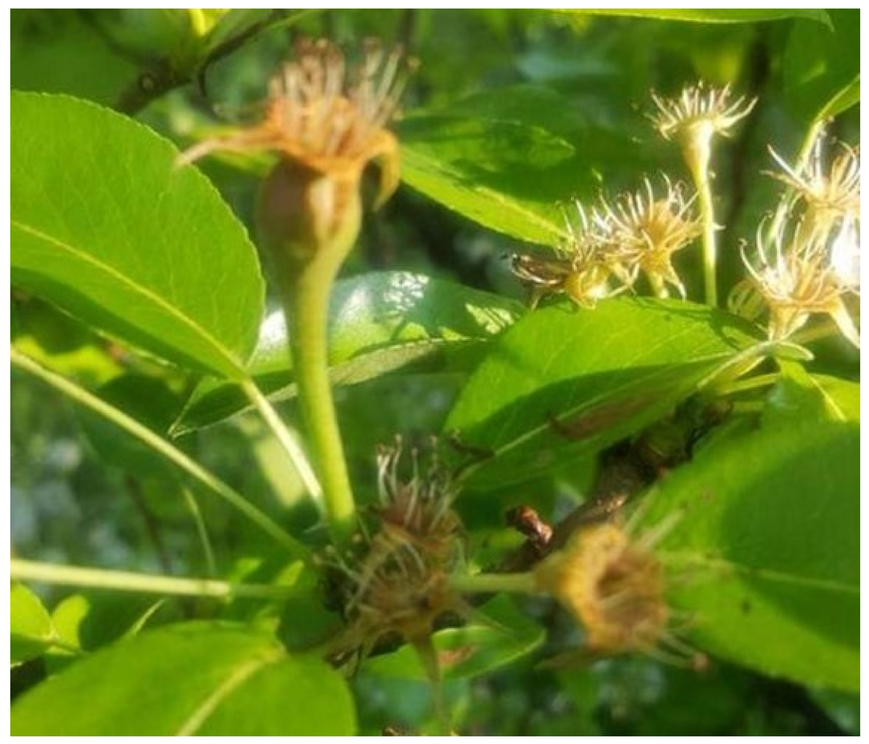 Agriengineering 05 00128 g004