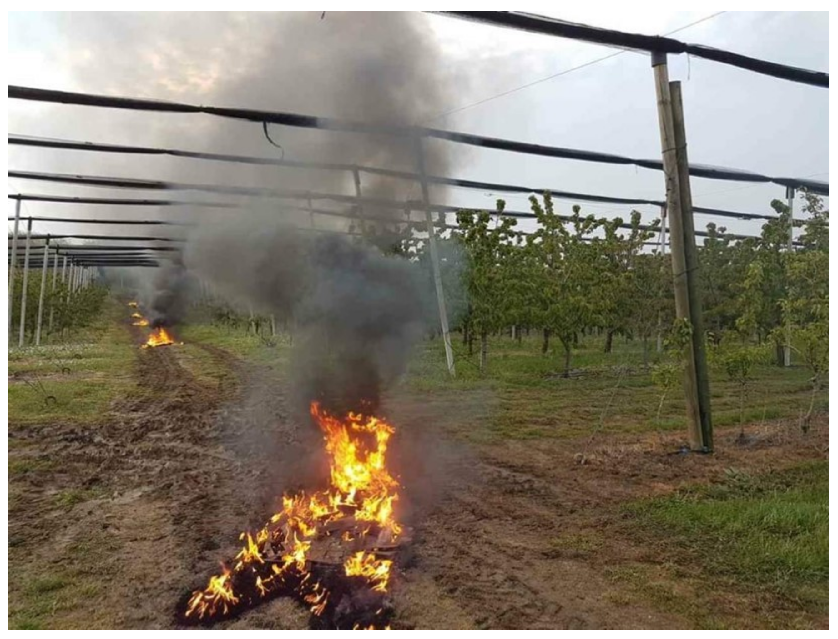 Agriengineering 05 00128 g005