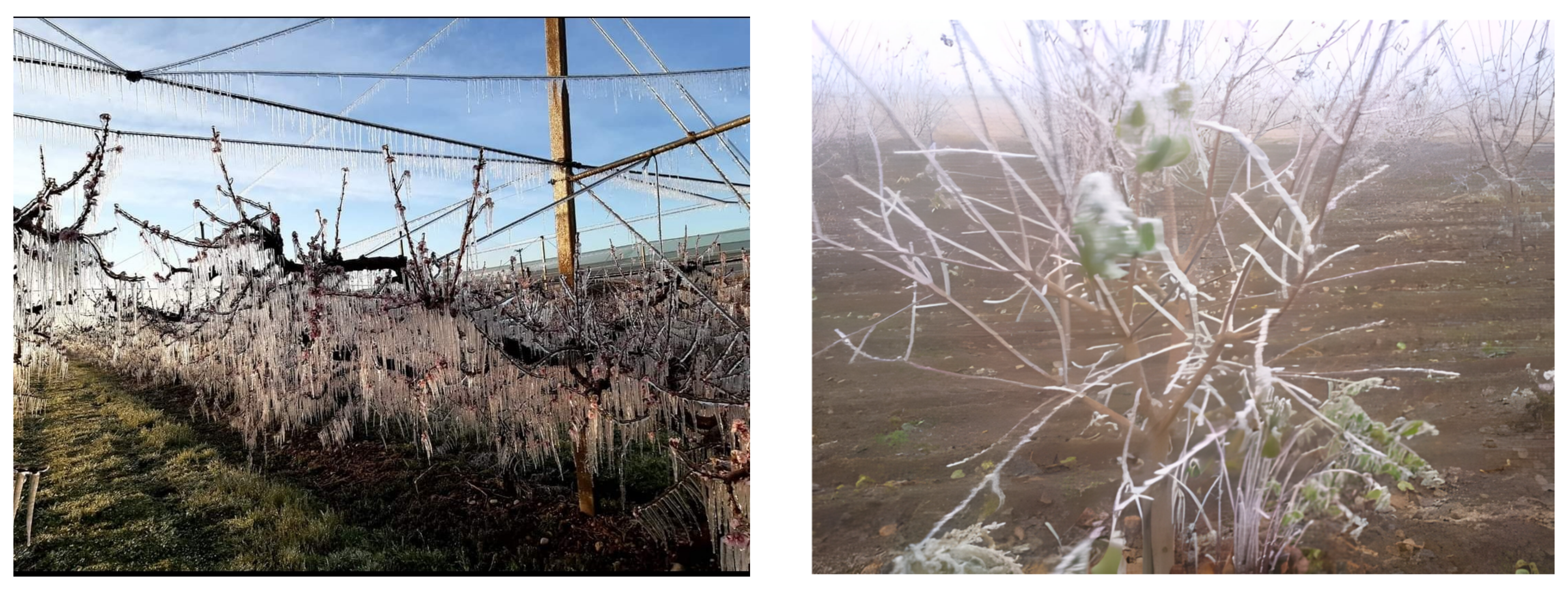 Agriengineering 05 00128 g007