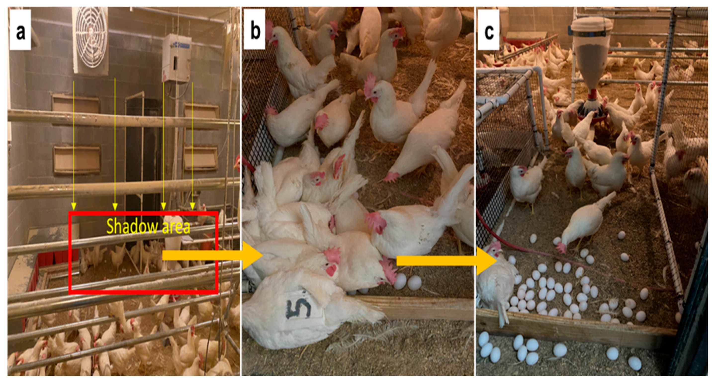 Agriengineering 05 00133 g001