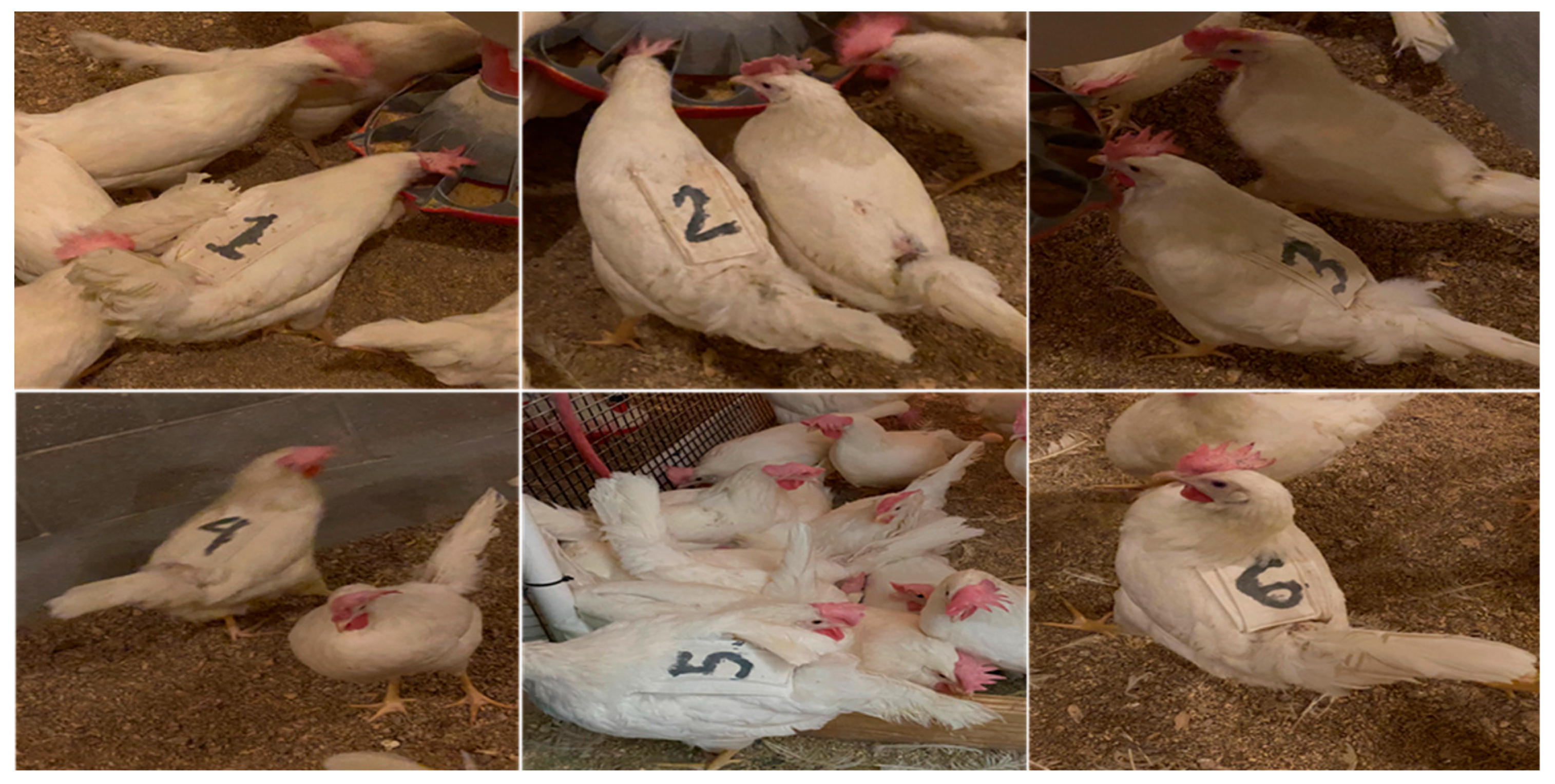 Agriengineering 05 00133 g004