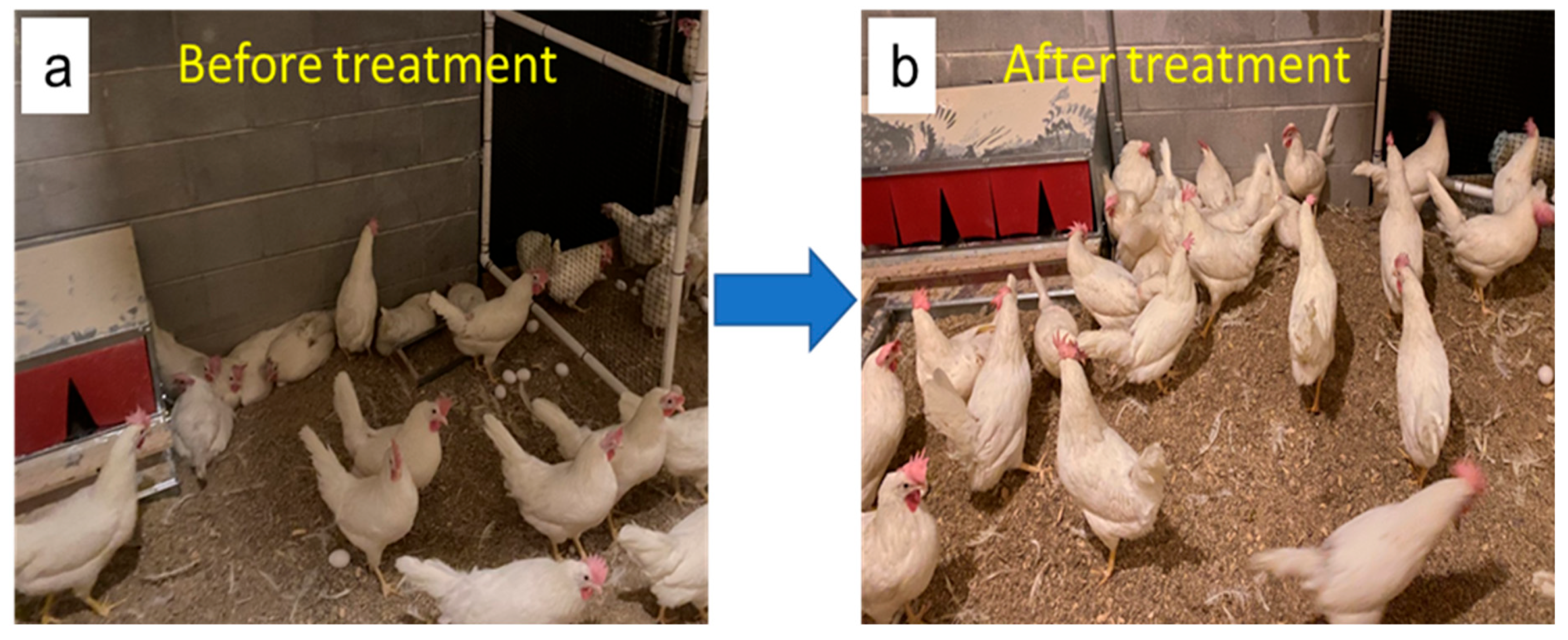 Agriengineering 05 00133 g005