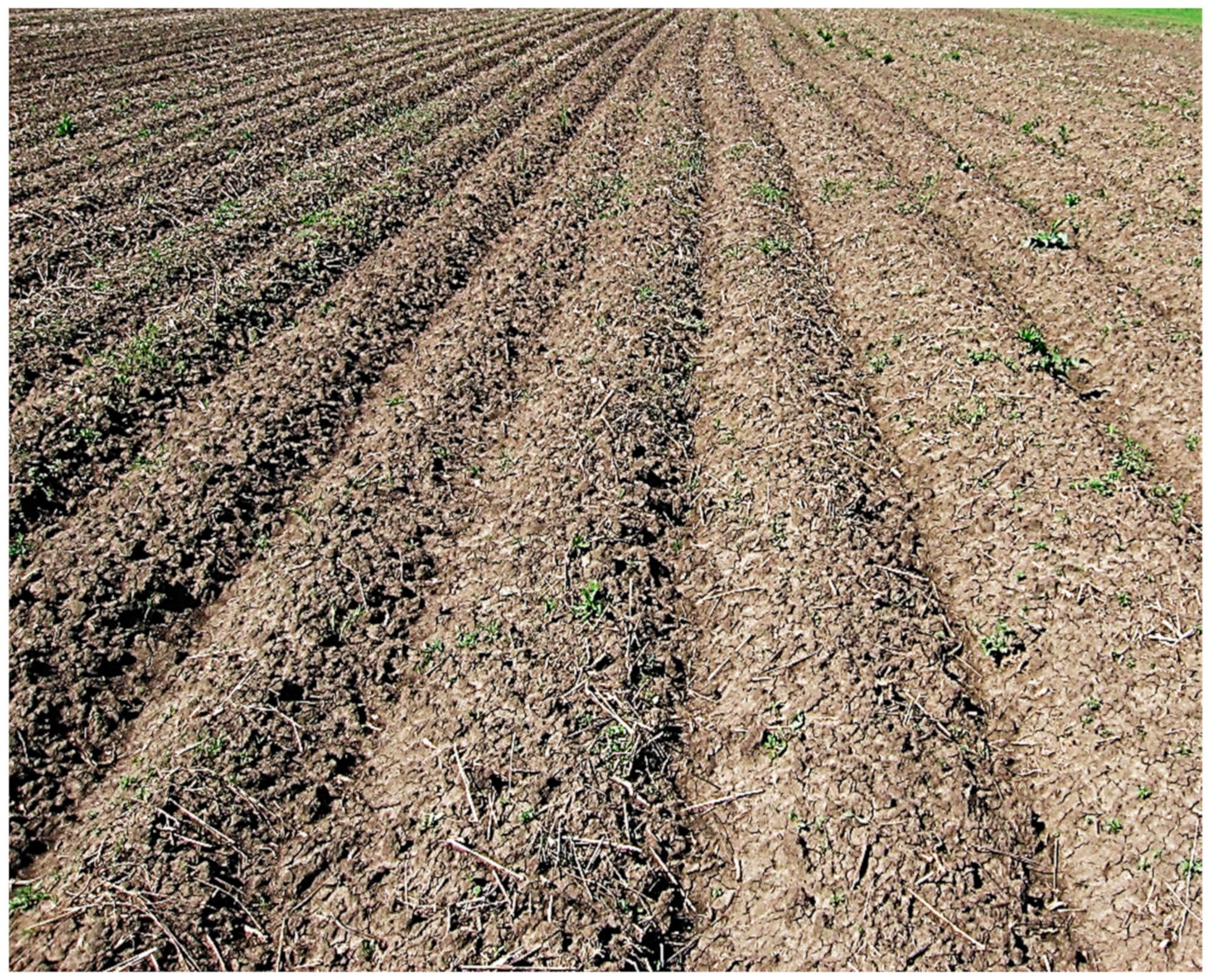 Agriengineering 05 00134 g009 Agriengineering 05 00134 g009