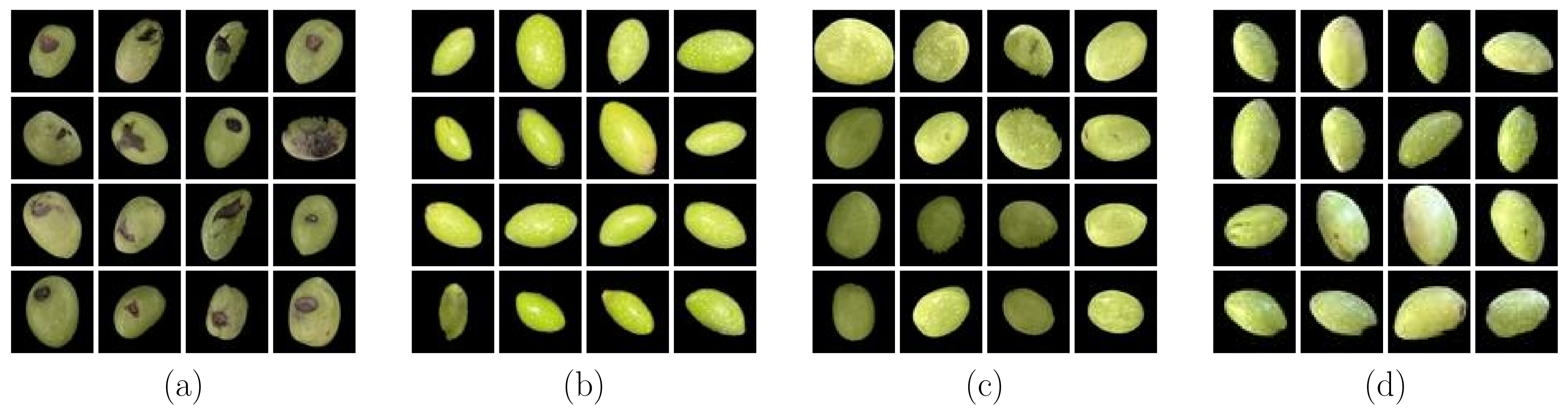 Agriengineering 05 00139 g002