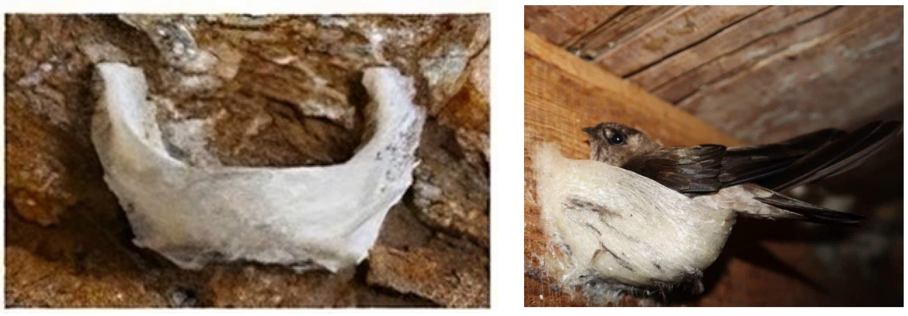 Agriengineering 06 00008 g001