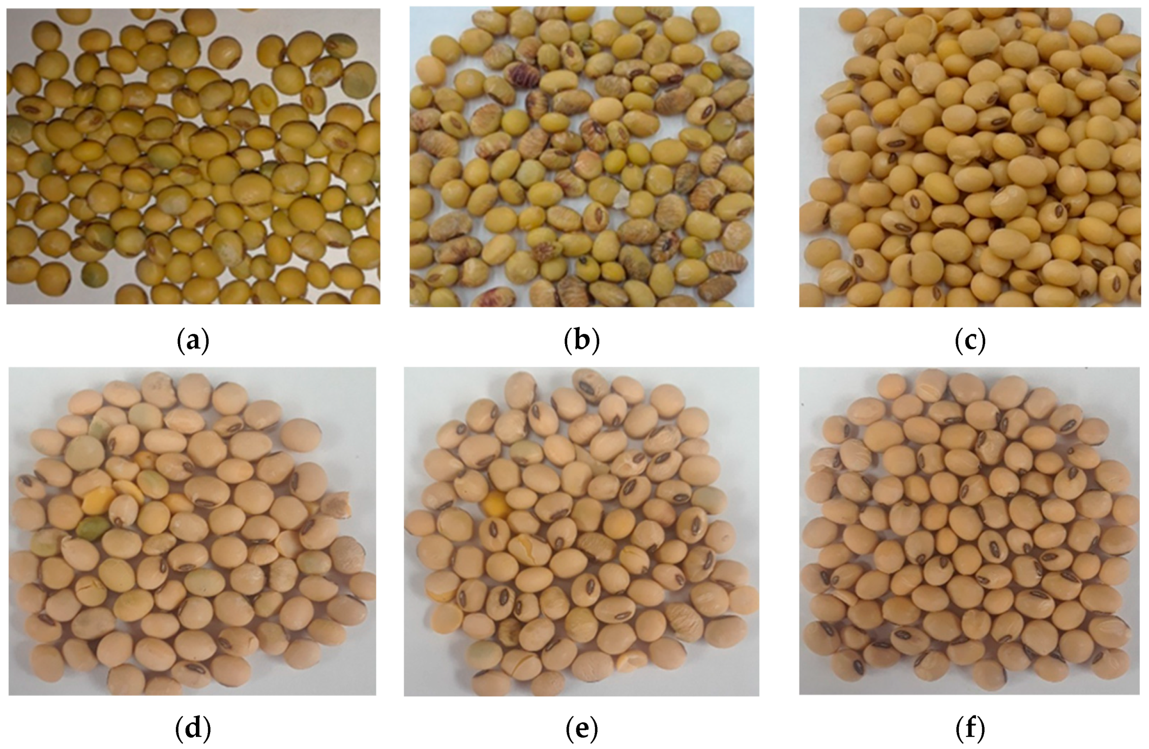 Agriengineering 06 00009 g008