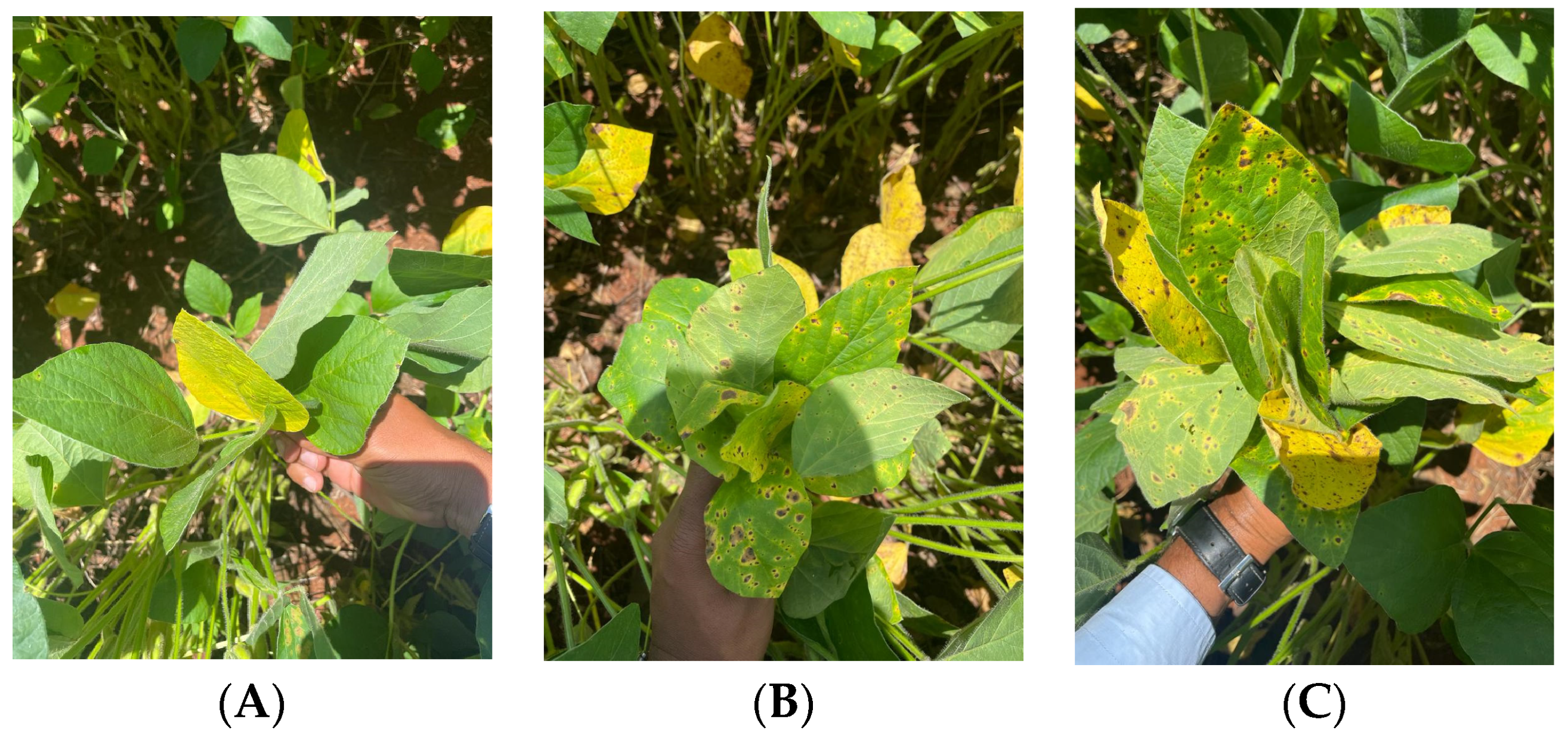 Agriengineering 06 00020 g003