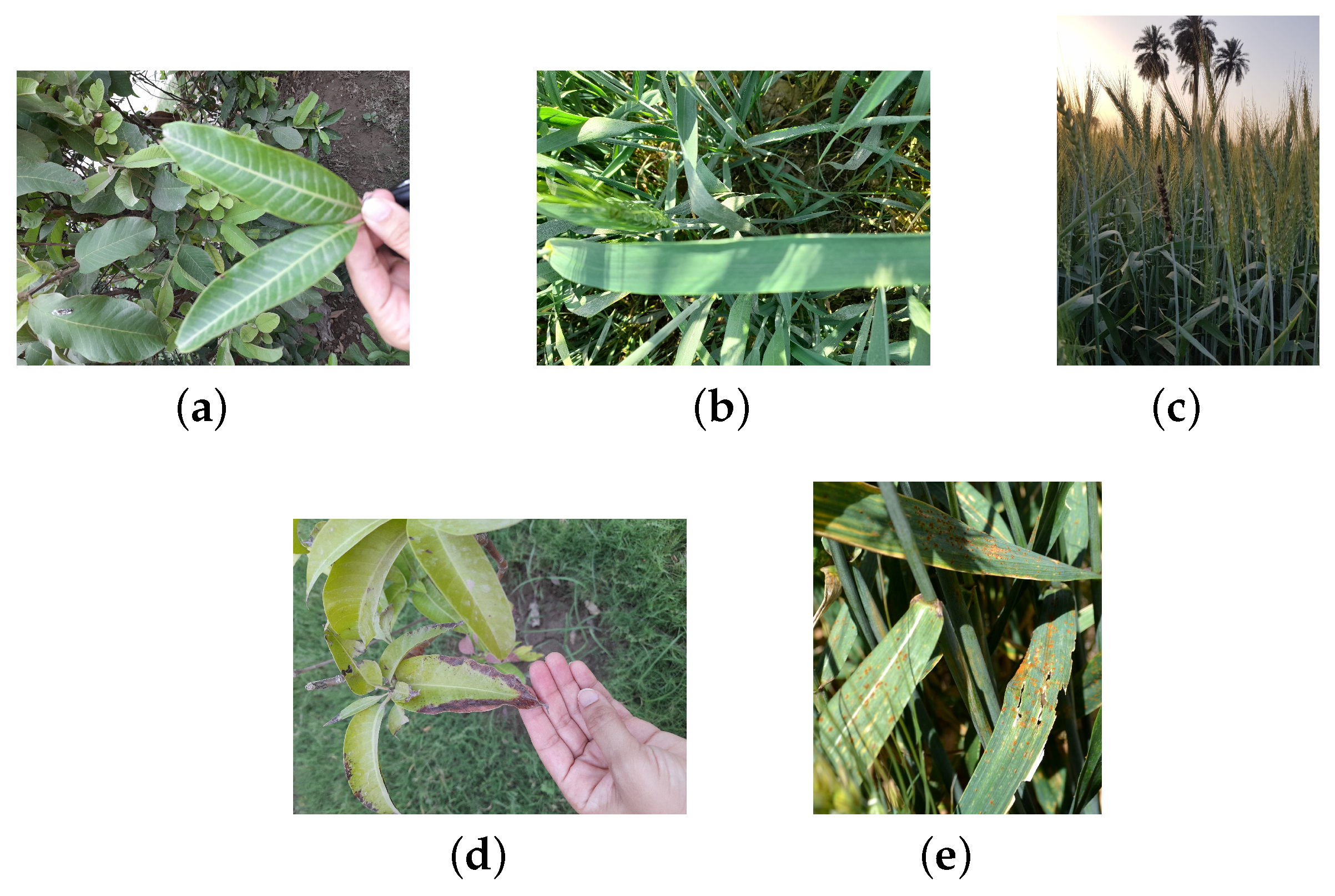 Agriengineering 06 00021 g001