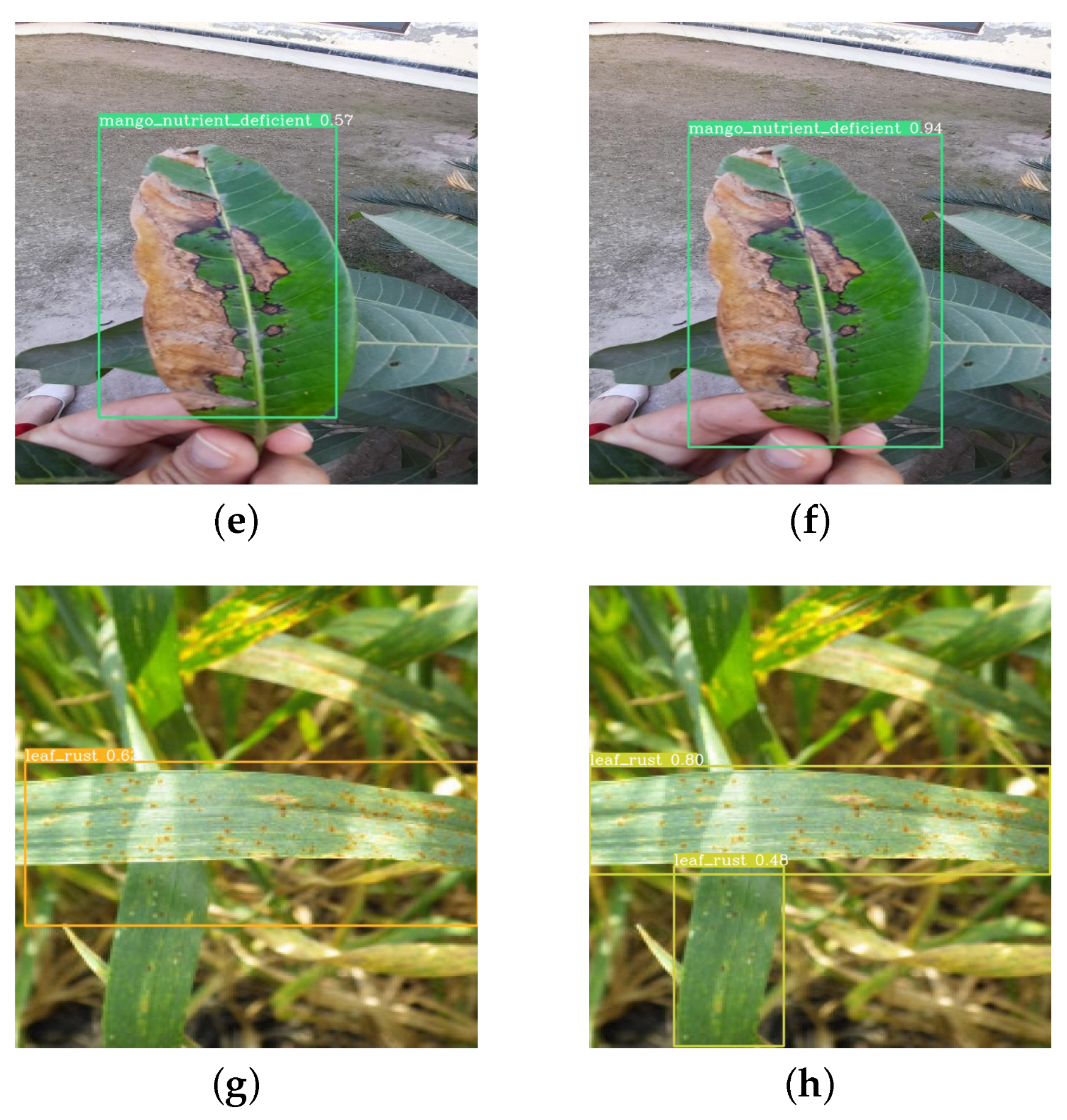 Agriengineering 06 00021 g012b
