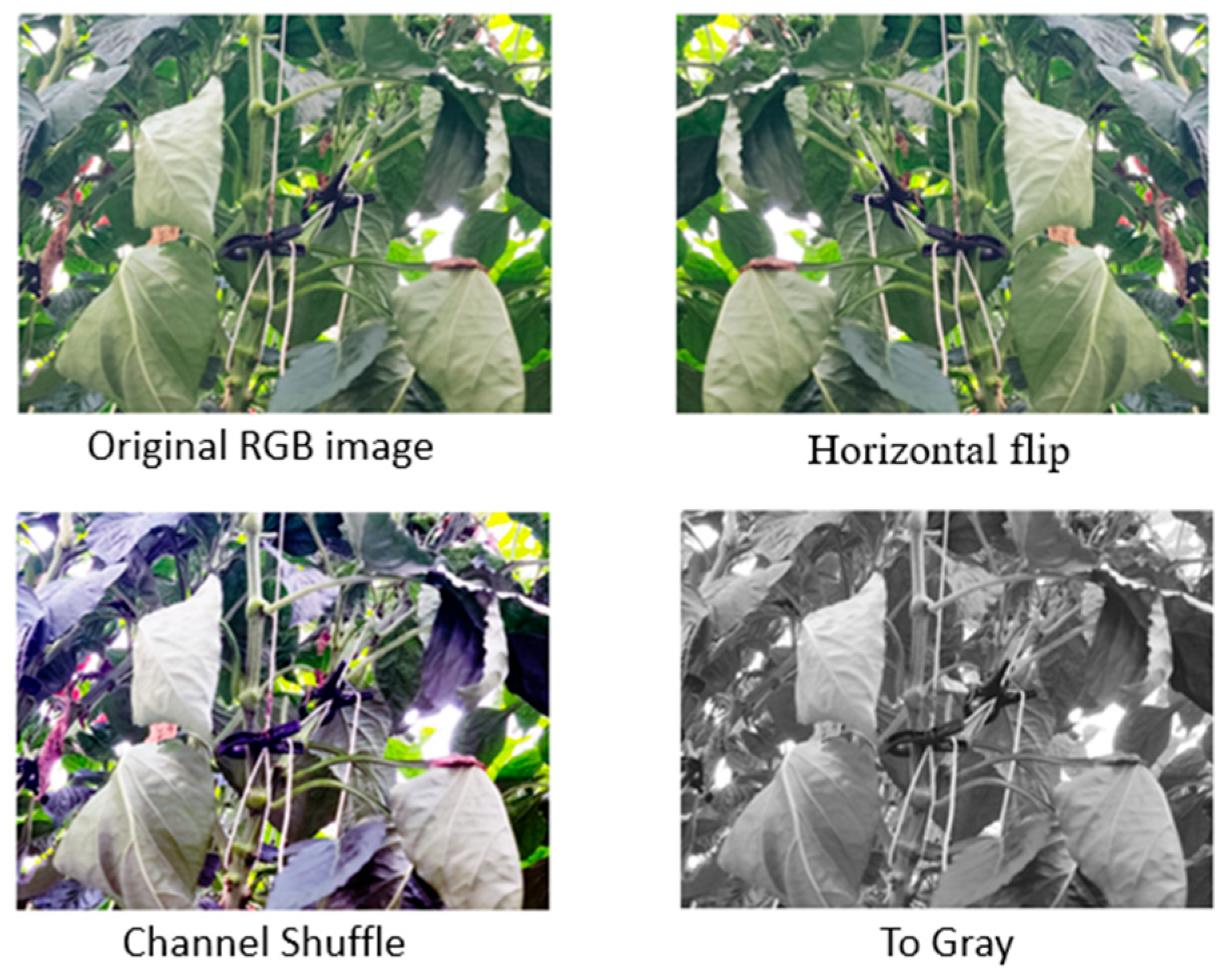 Agriengineering 06 00038 g003