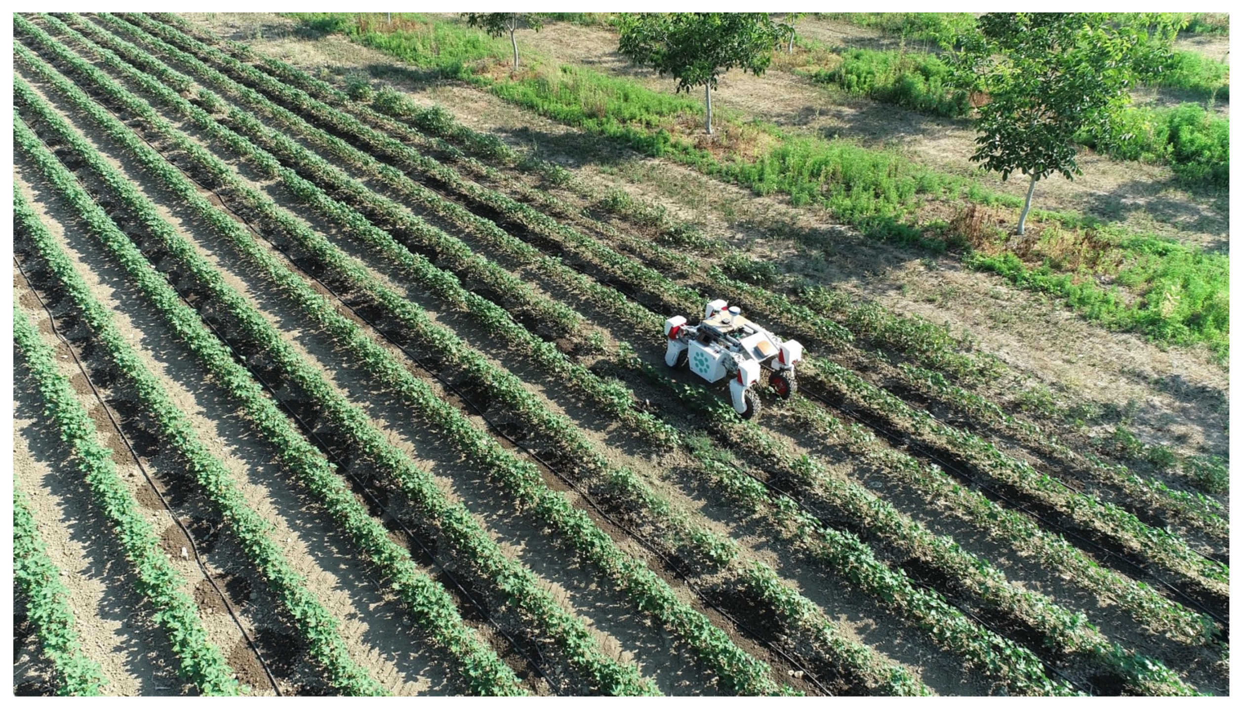 Agriengineering 06 00039 g011