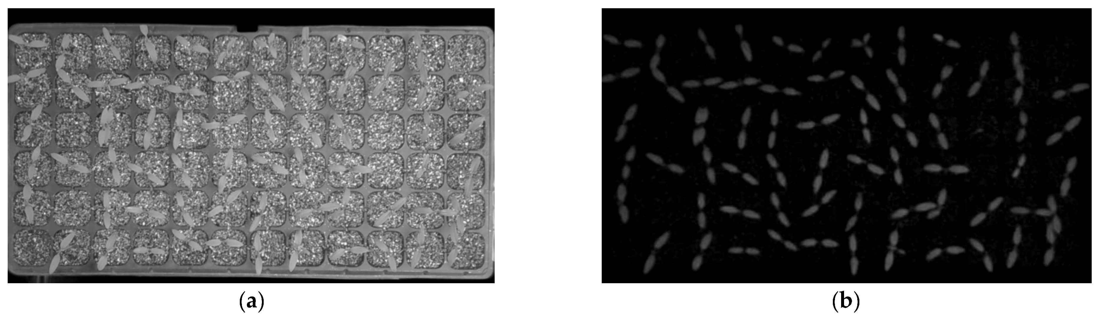 Agriengineering 06 00040 g008a