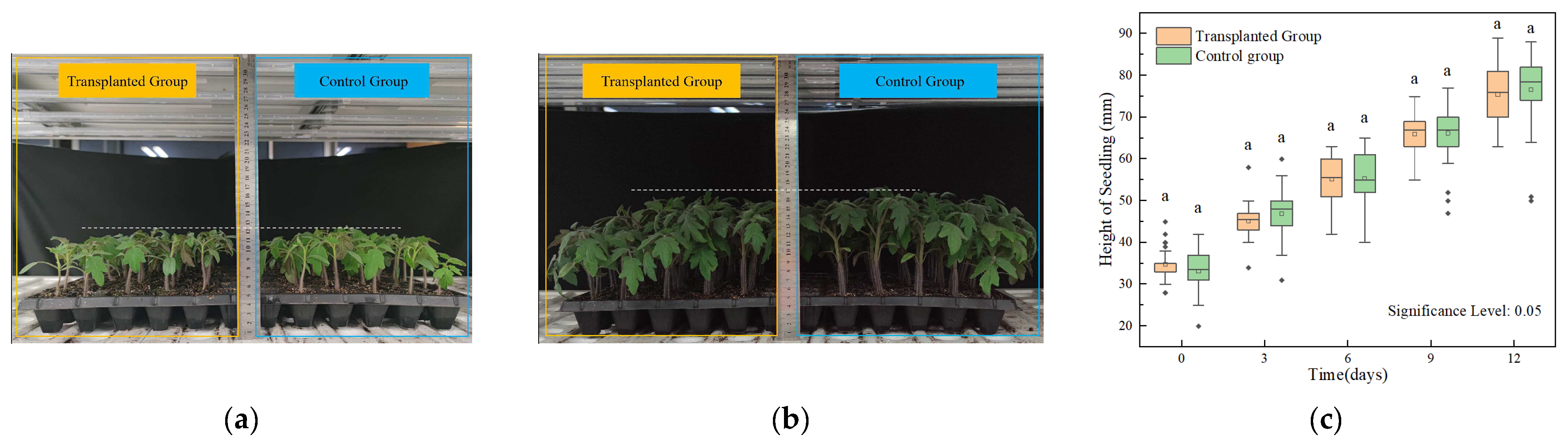 Agriengineering 06 00040 g013