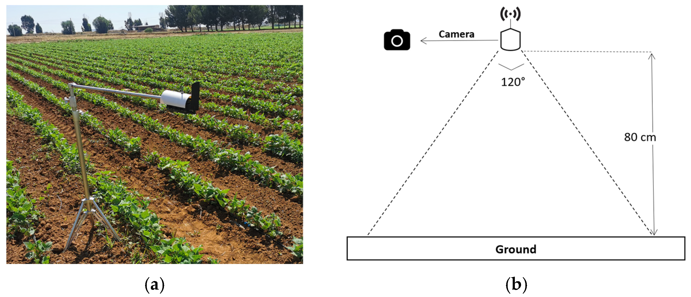 Agriengineering 06 00048 g004