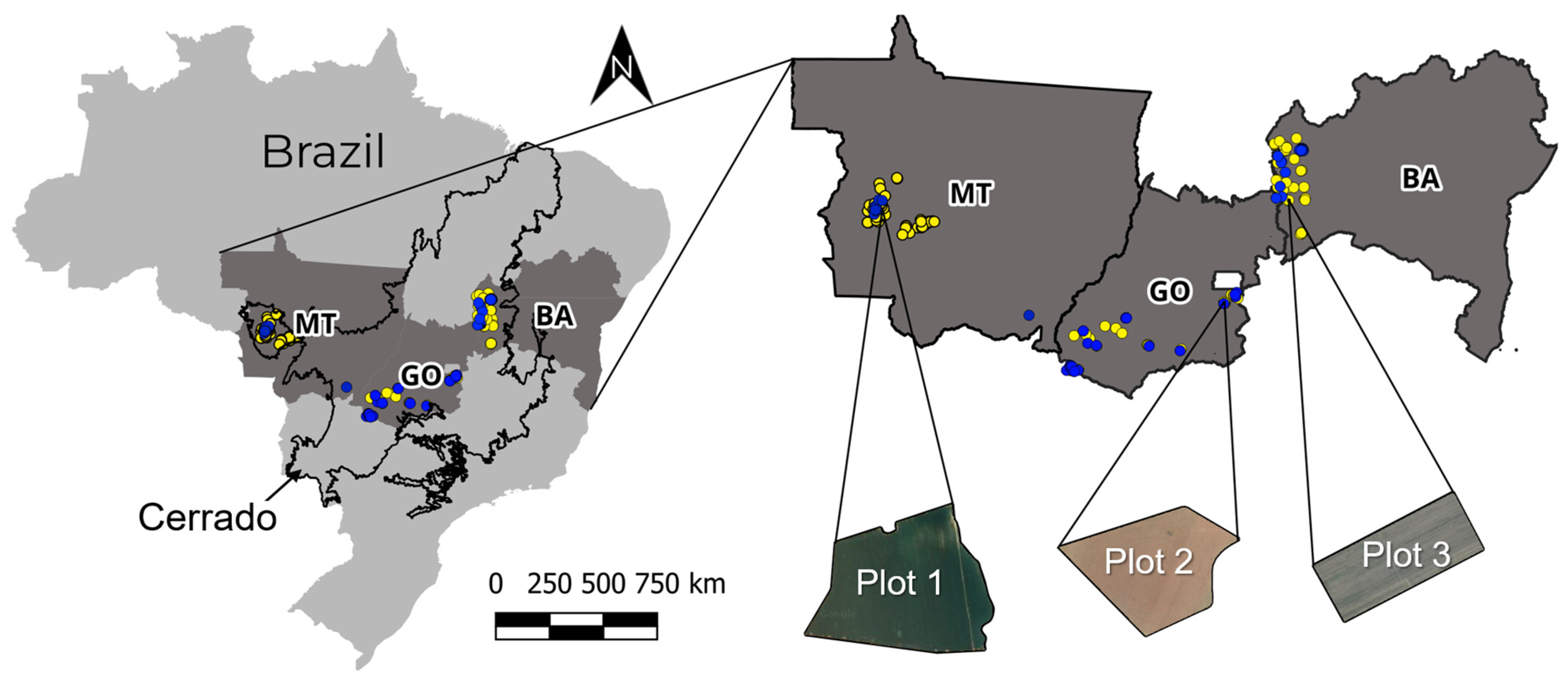 Agriengineering 06 00054 g001