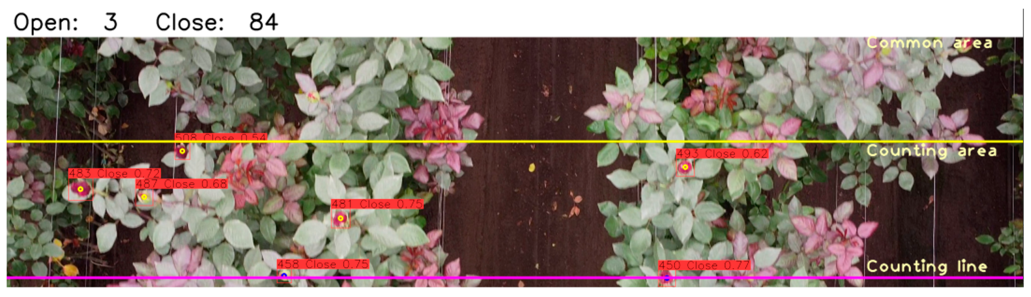 Agriengineering 06 00058 g005