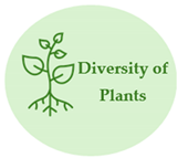 Agriengineering 06 00067 i001