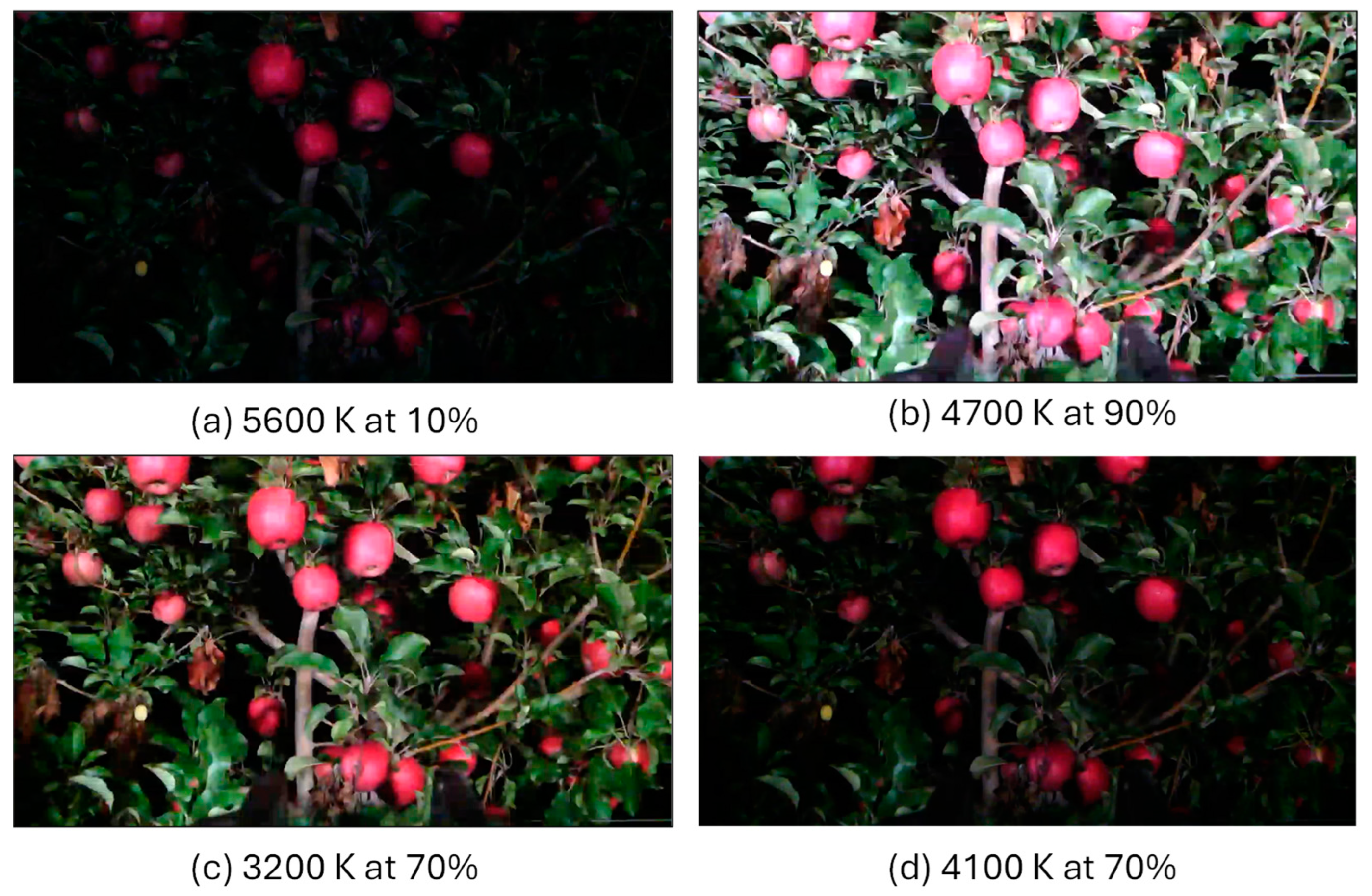 Agriengineering 06 00072 g005