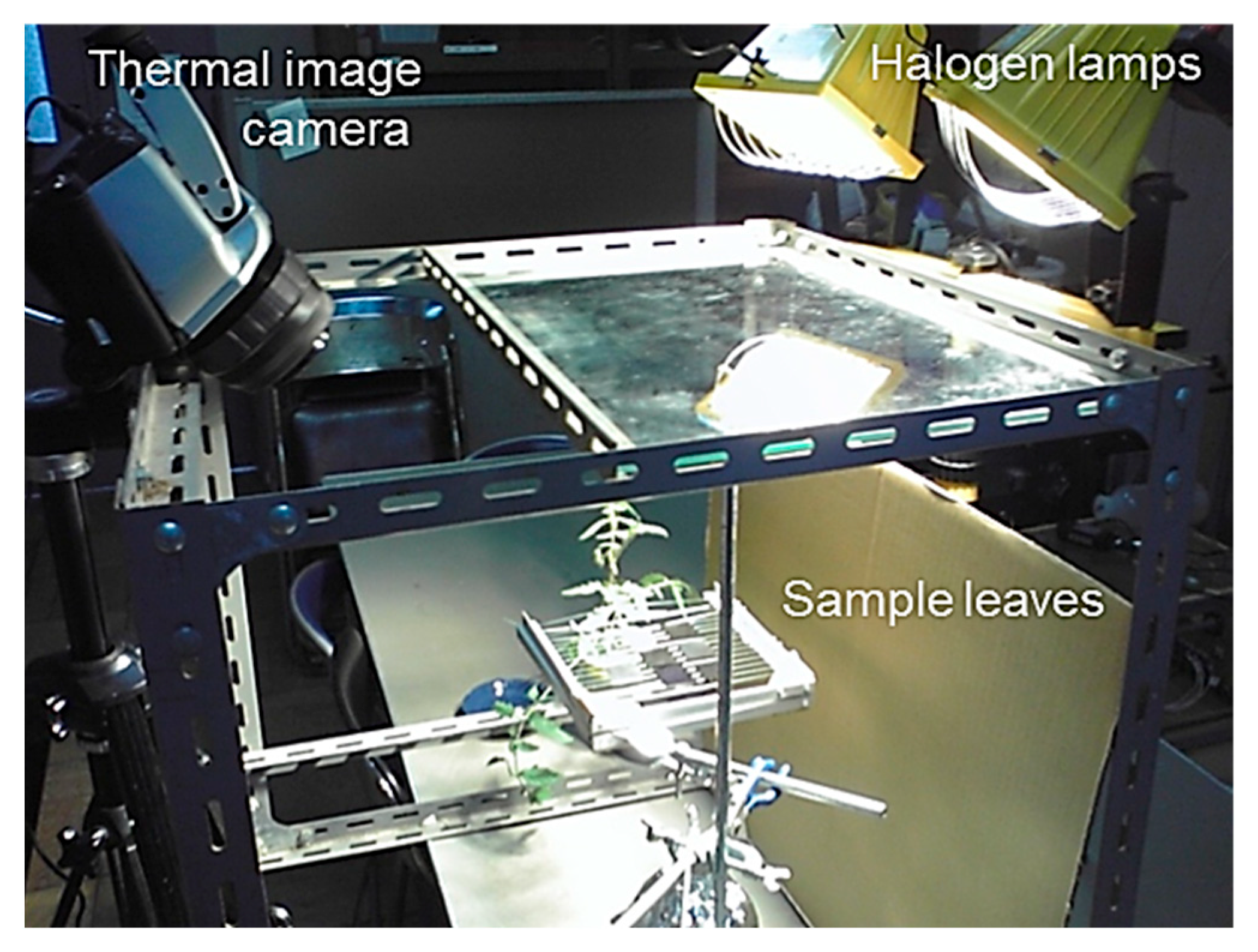 Agriengineering 06 00077 g002