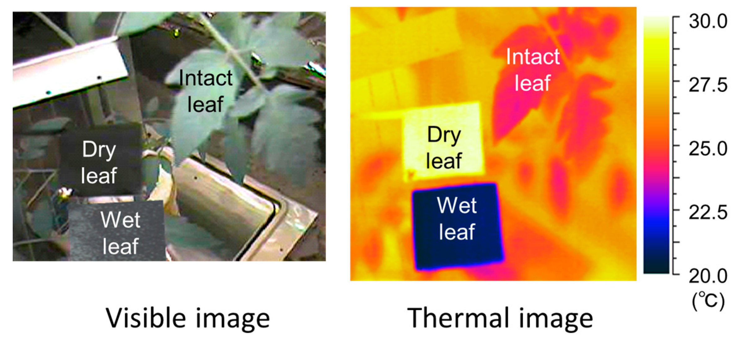 Agriengineering 06 00077 g004