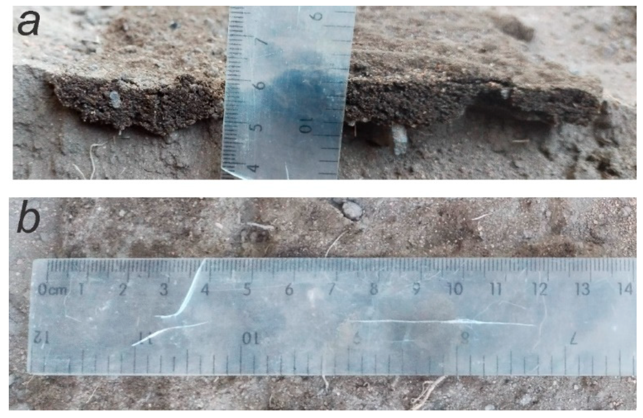 Agriengineering 06 00079 g018