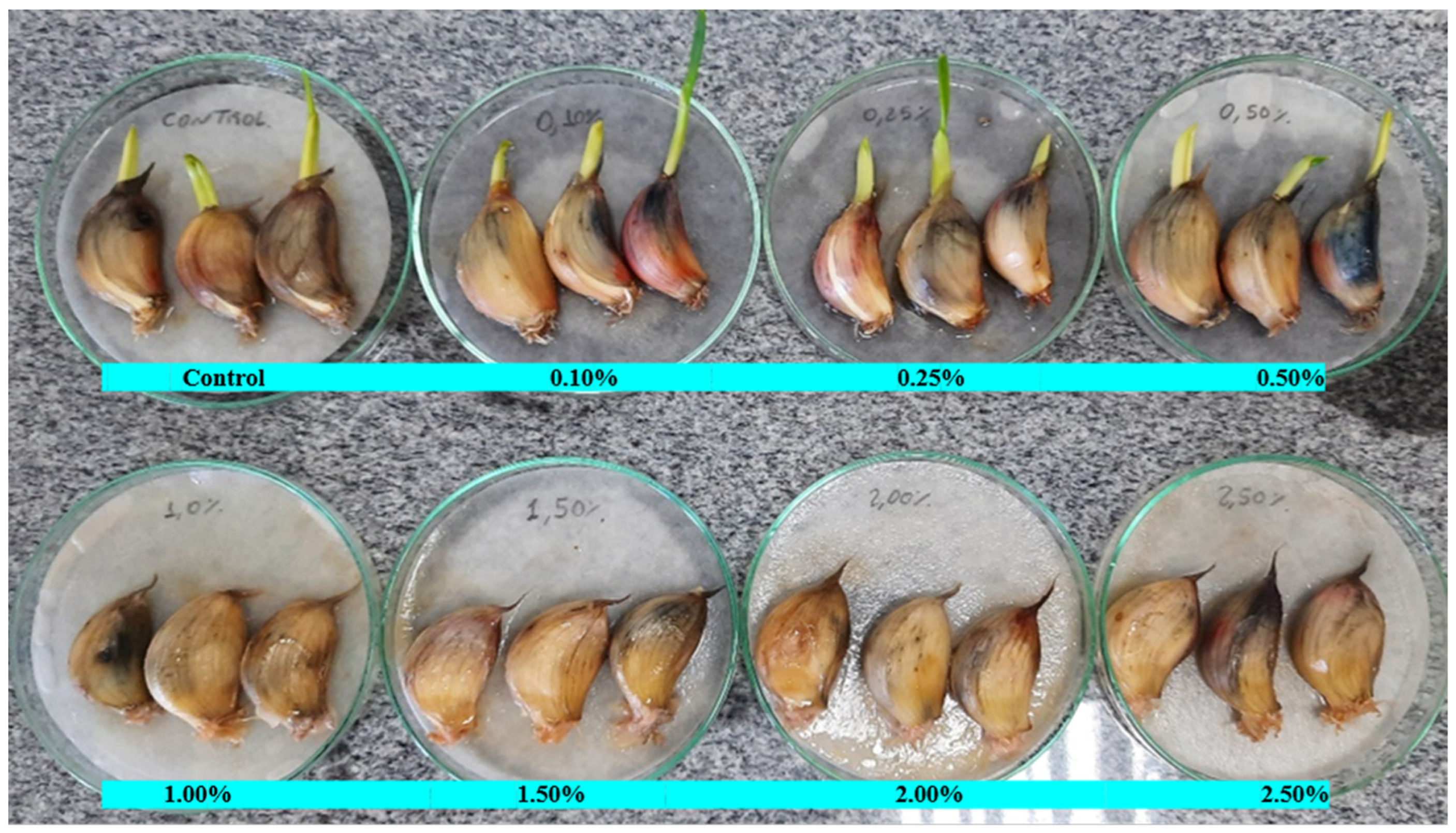 Agriengineering 06 00086 g002