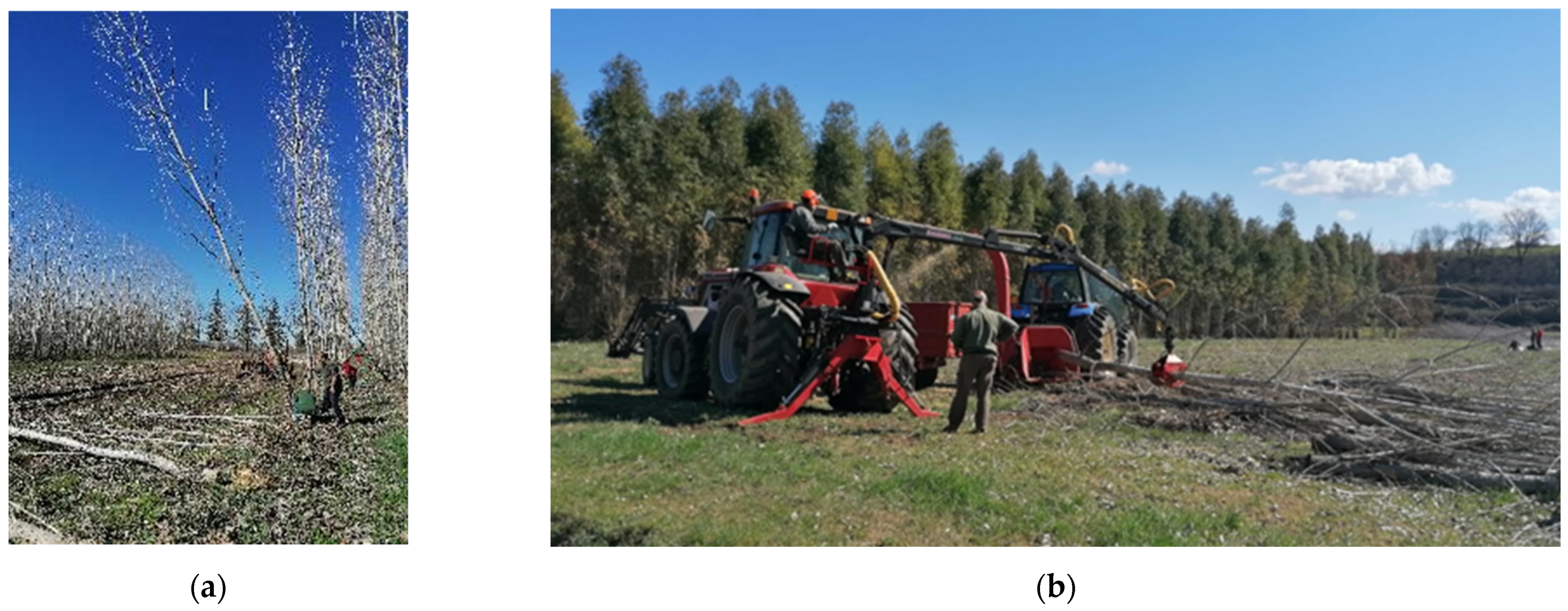 Agriengineering 06 00092 g001