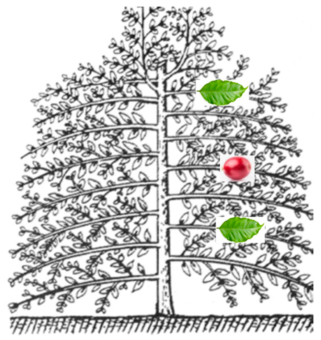 Agriengineering 06 00093 g003