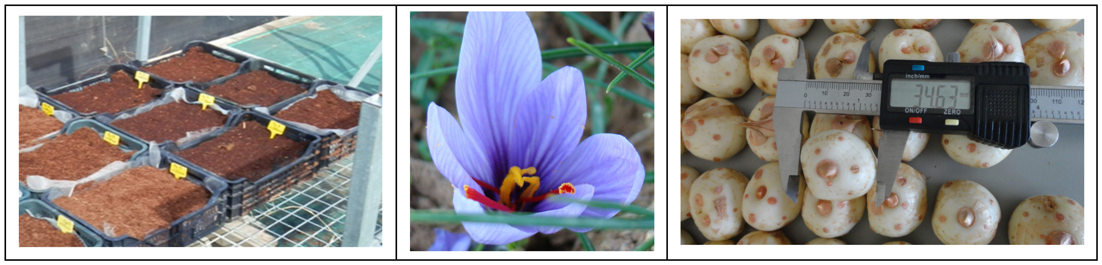 Agriengineering 06 00094 g001