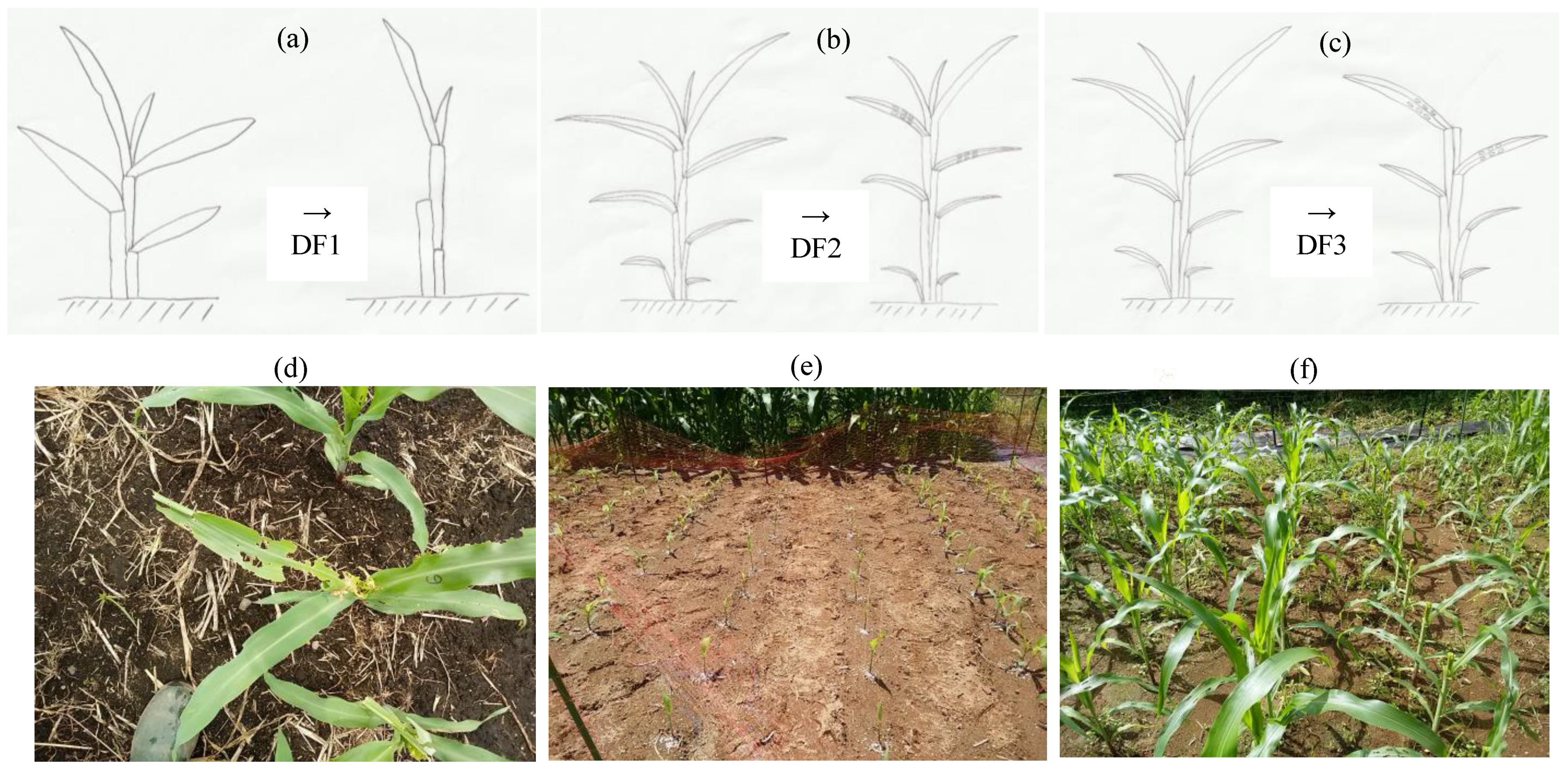 Agriengineering 06 00107 g002