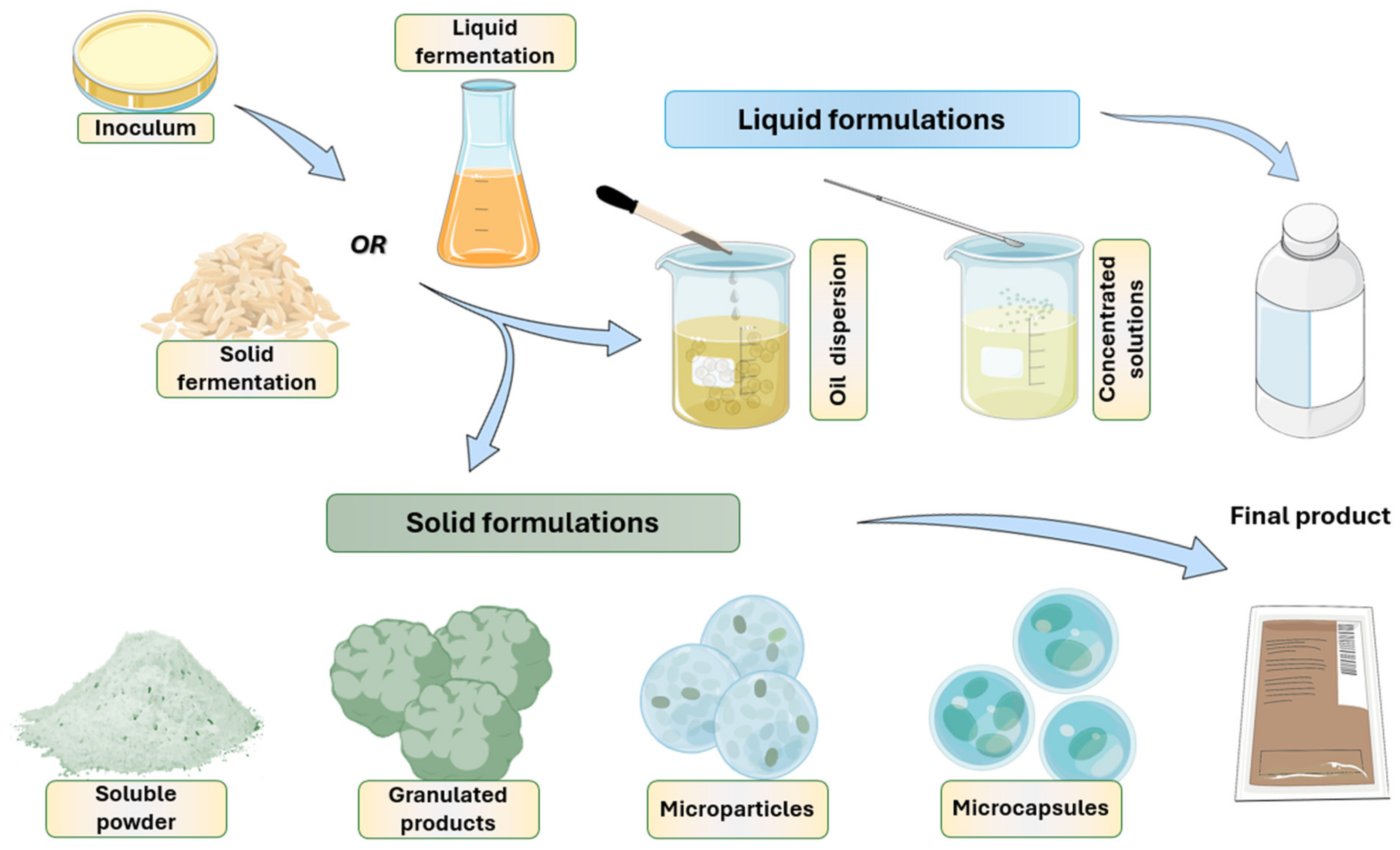 Agriengineering 06 00138 g002