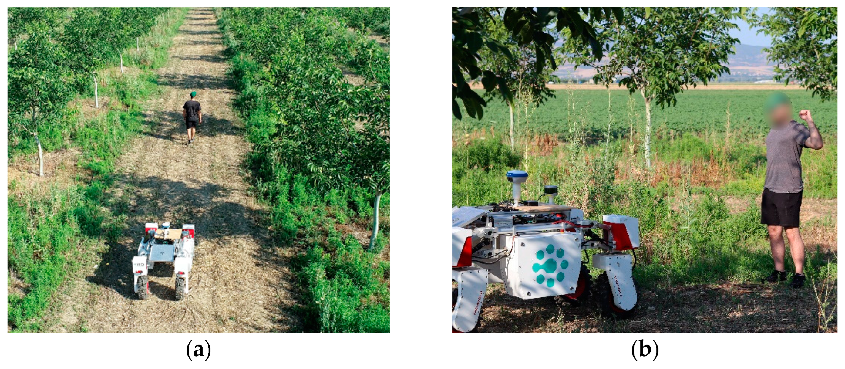 Agriengineering 06 00146 g007