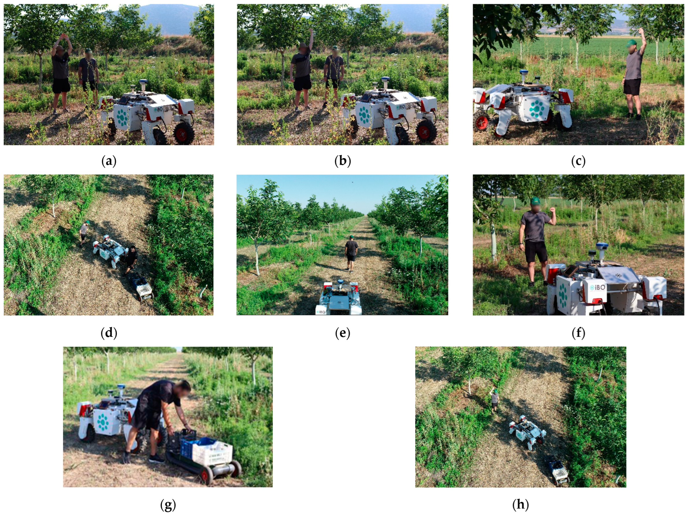 Agriengineering 06 00146 g009