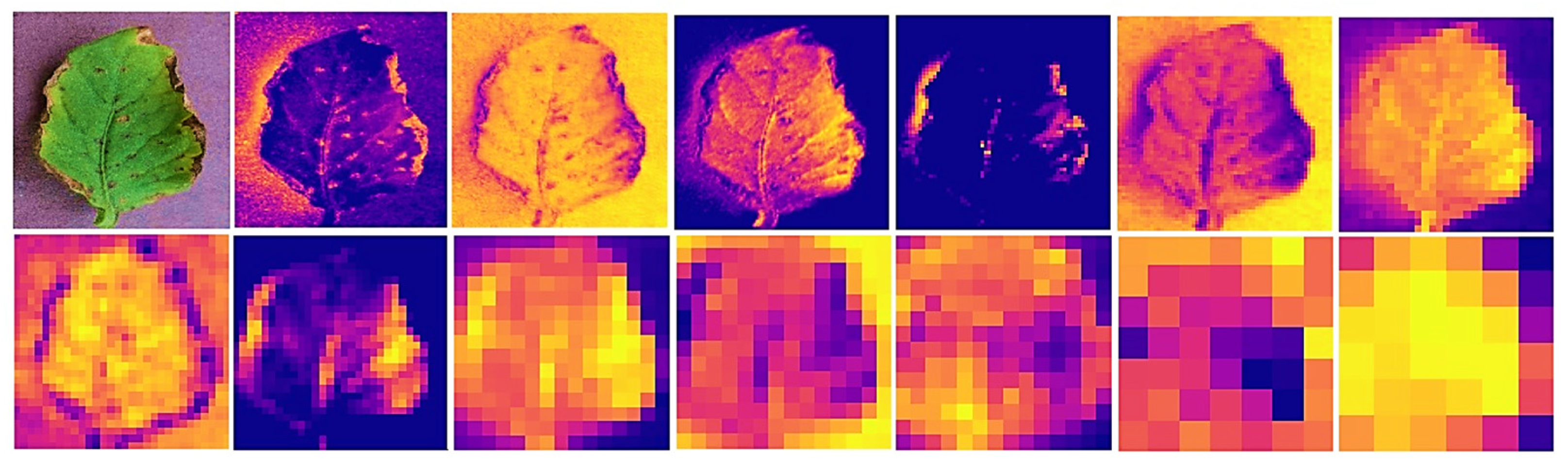 Agriengineering 06 00153 g010