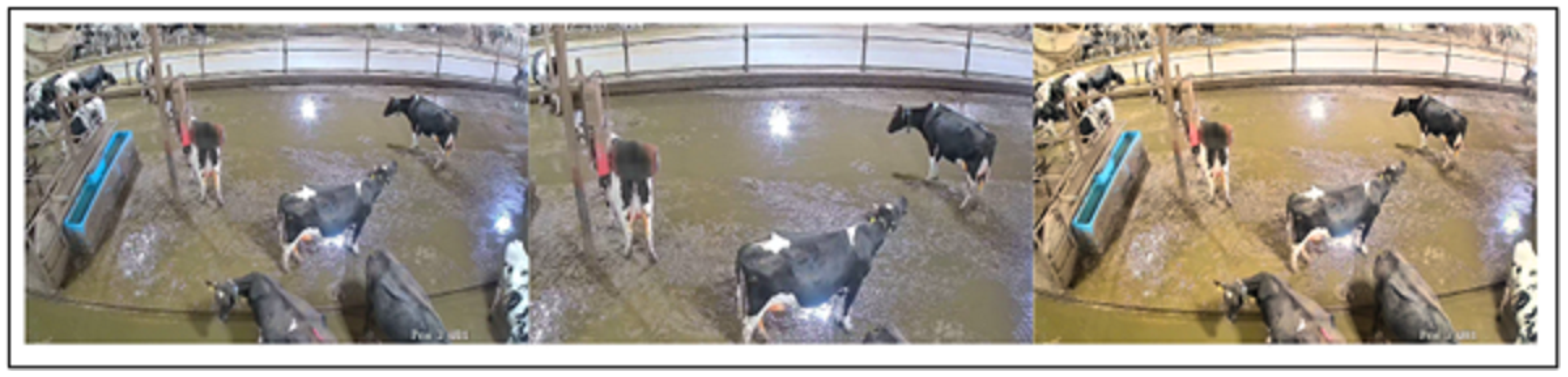 Agriengineering 06 00155 g005 Agriengineering 06 00155 g005