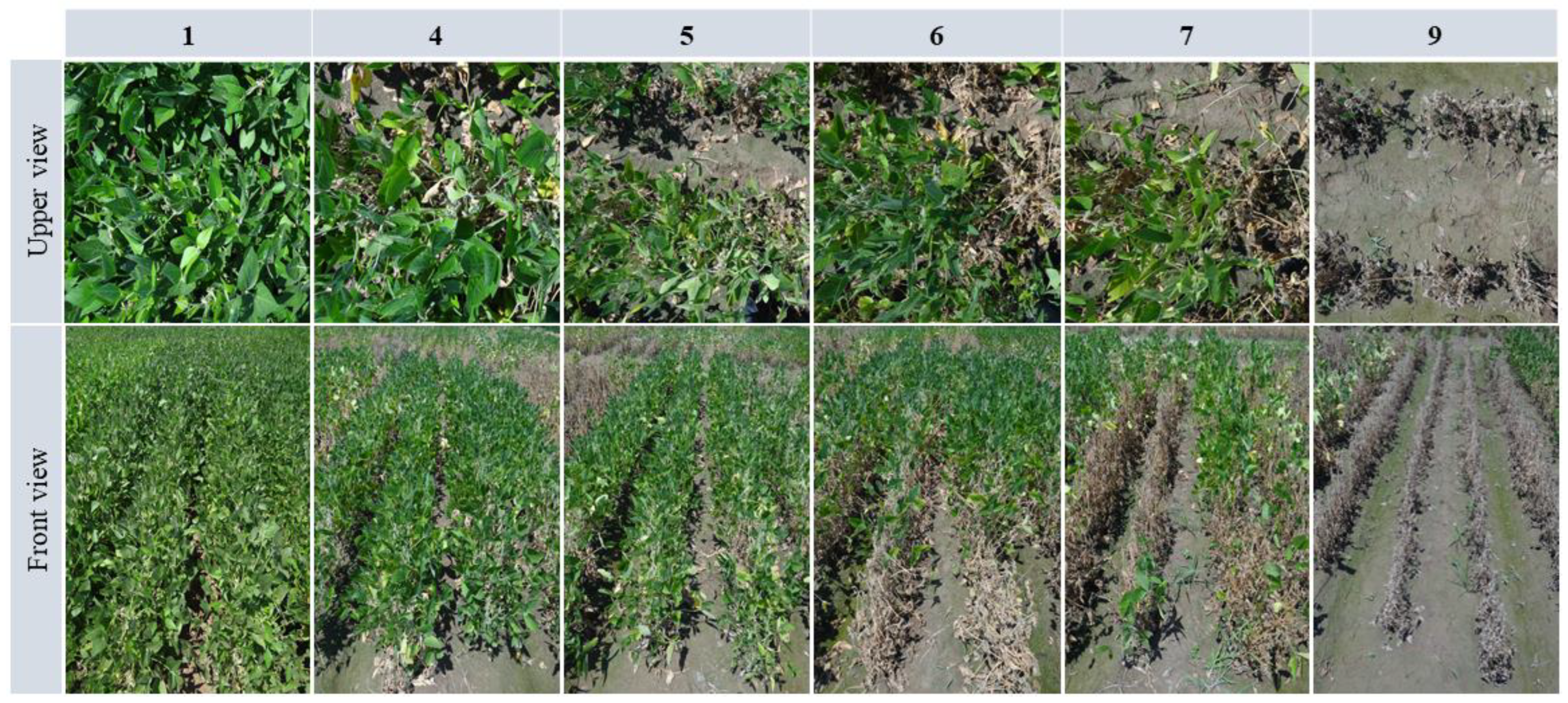 Agriengineering 06 00186 g002
