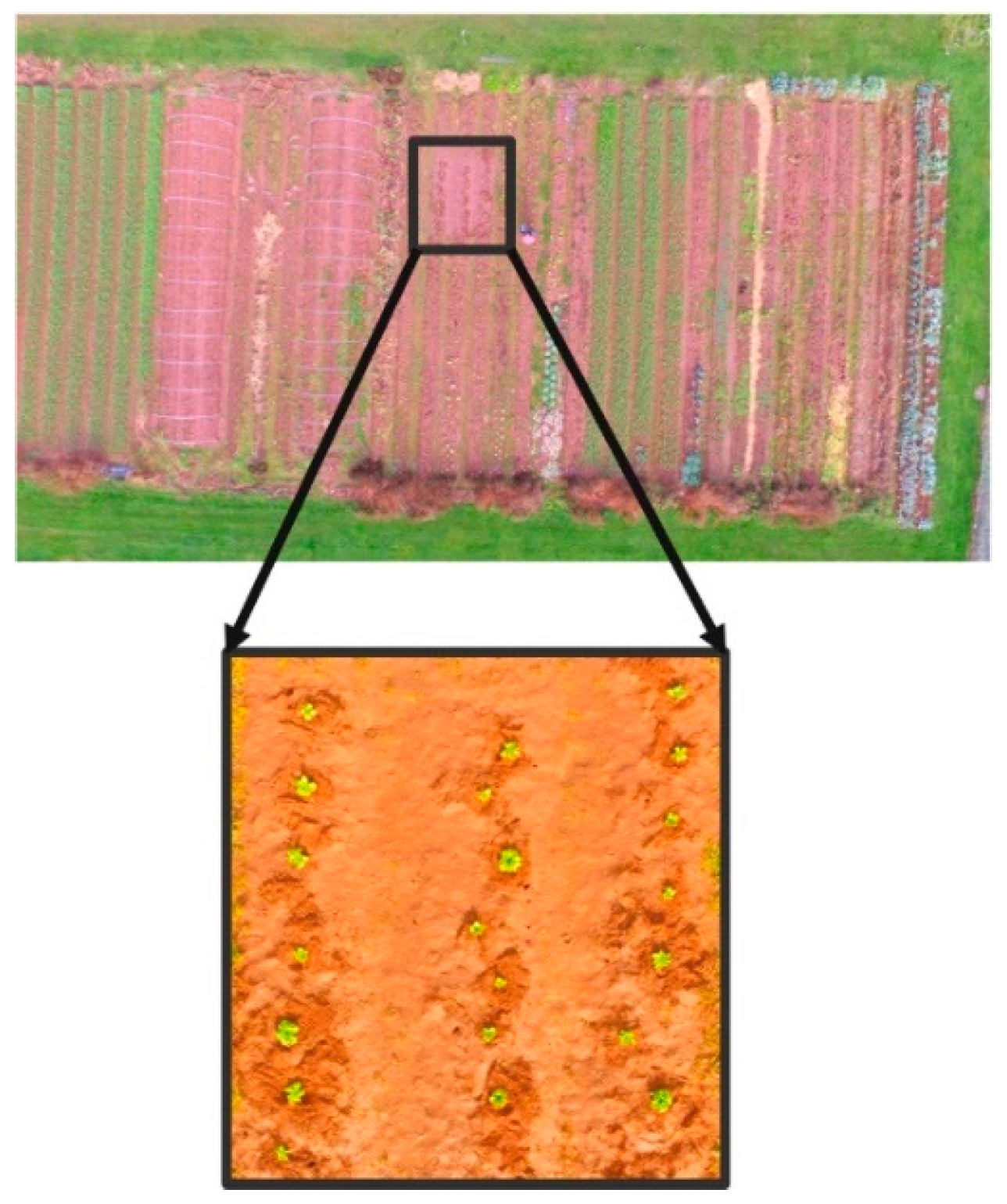 Agriengineering 06 00191 g009